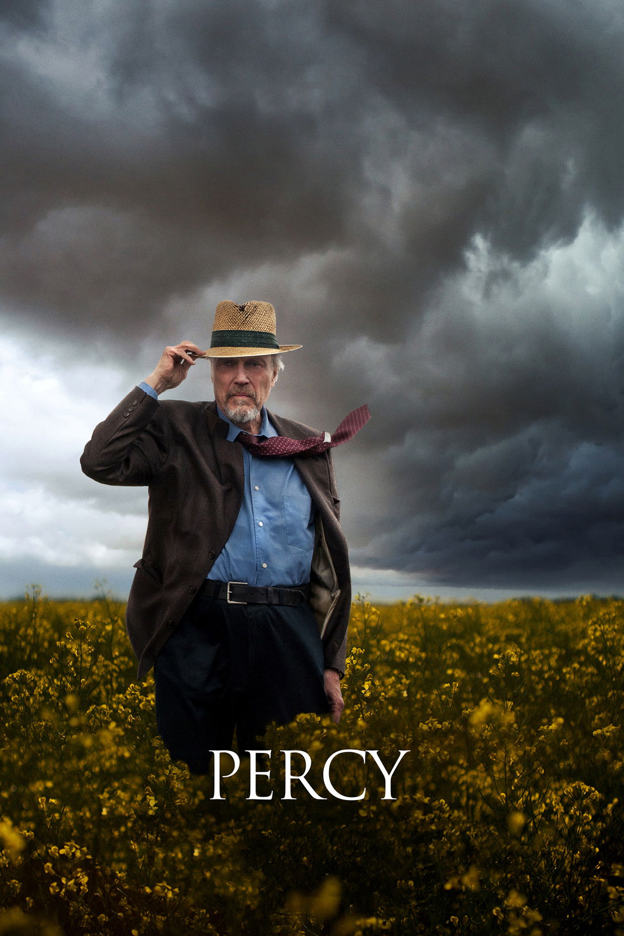 Pôster de Percy
