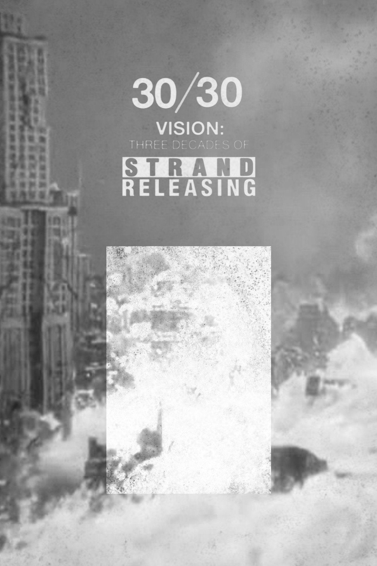 Pôster de 30/30 Vision: Three Decades of Strand Releasing