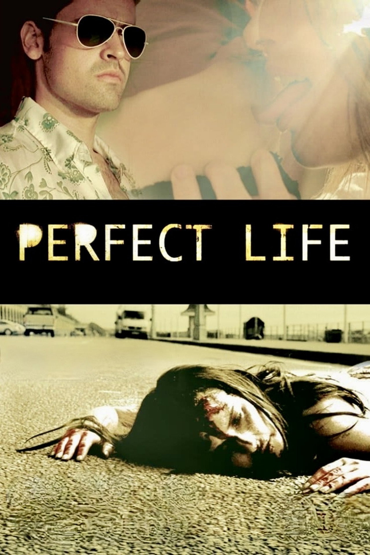 Pôster de Perfect Life