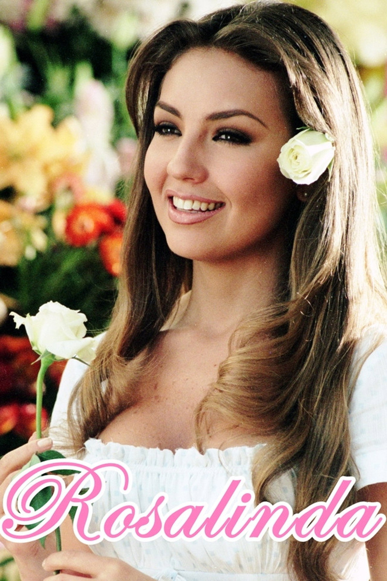 Pôster de Rosalinda