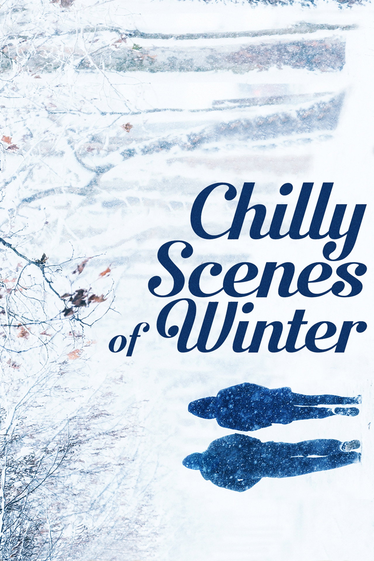 Pôster de Chilly Scenes of Winter