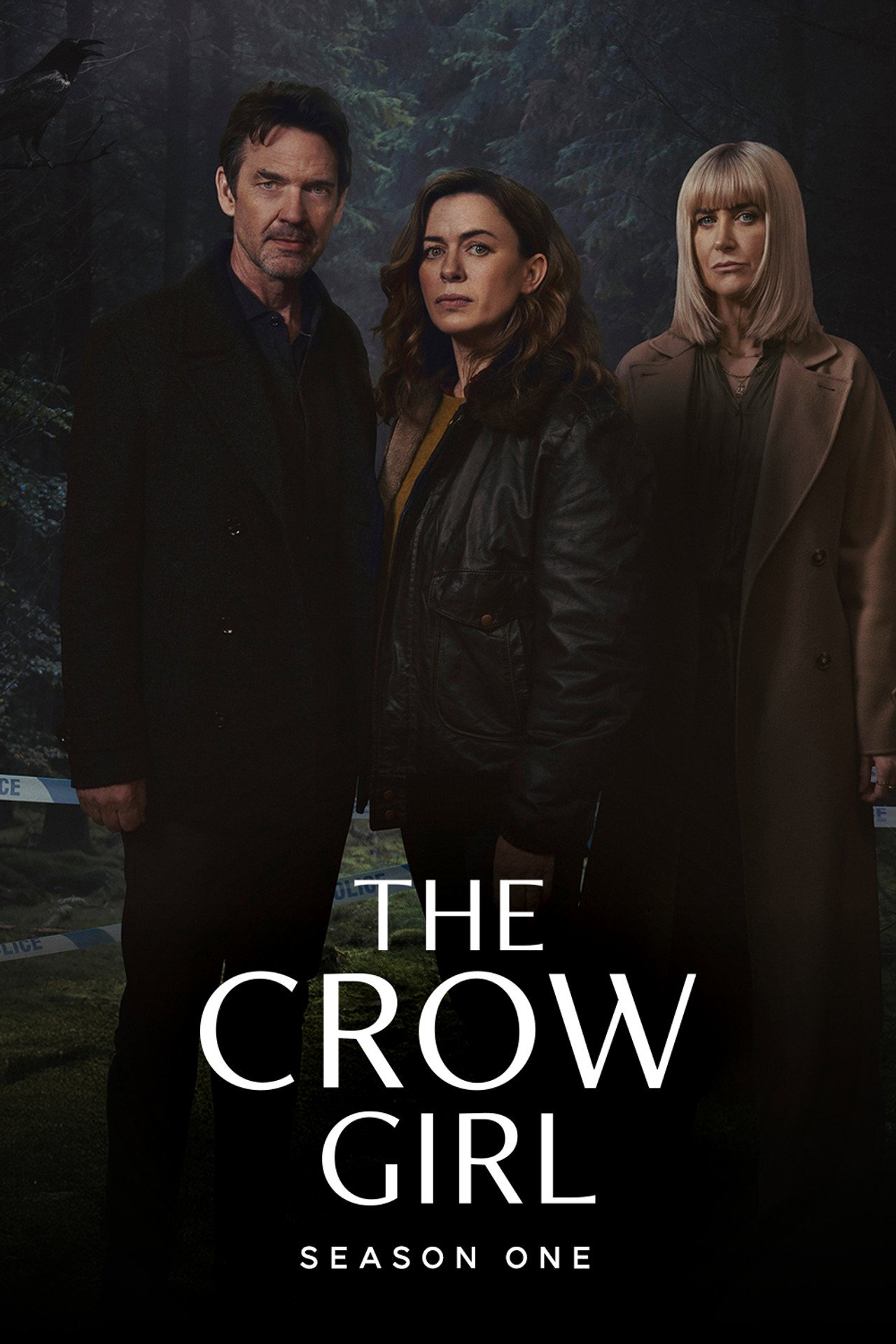 Pôster de The Crow Girl
