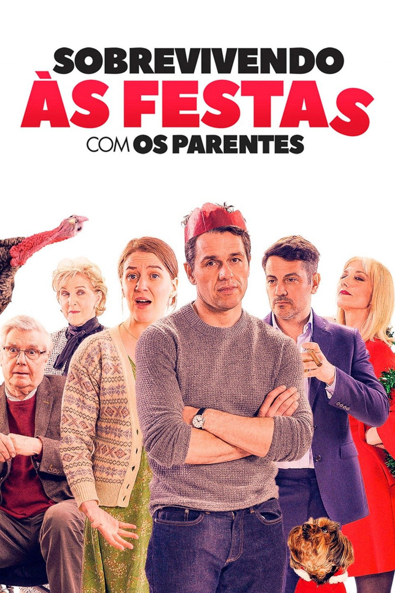 Pôster de Sobrevivendo às Festas com os Parentes