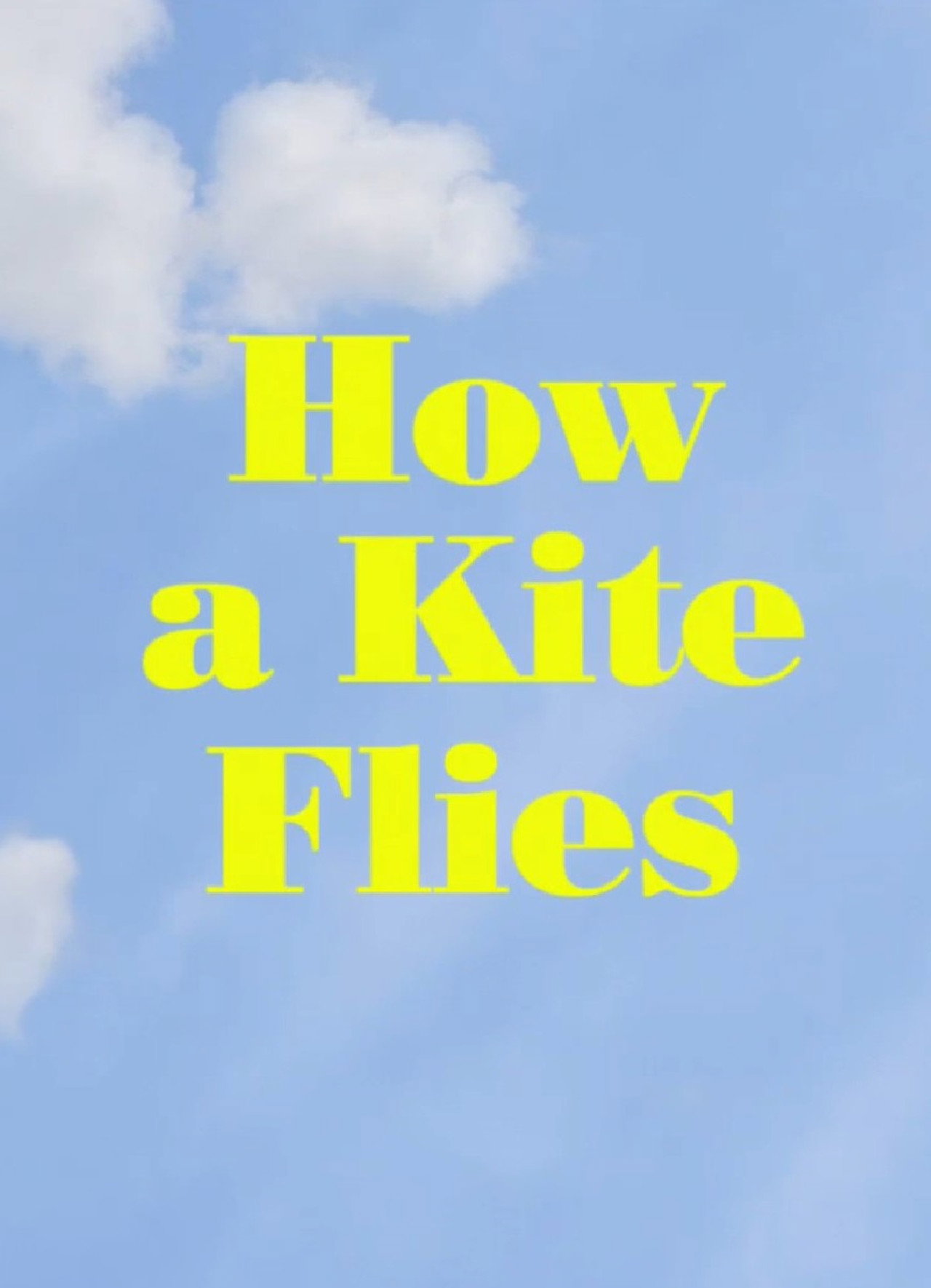 Pôster de How a Kite Flies