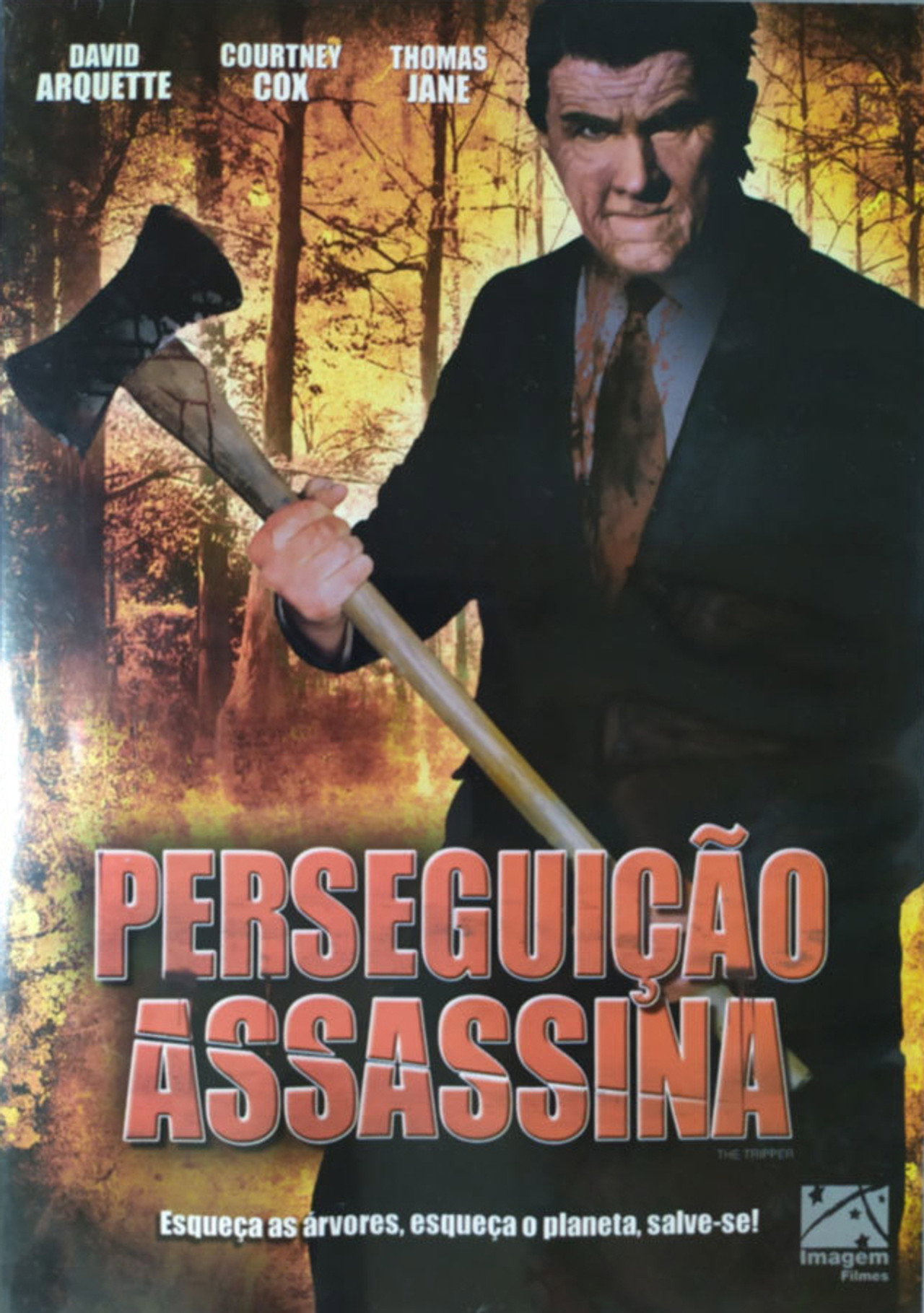 Pôster de Perseguição Assassina