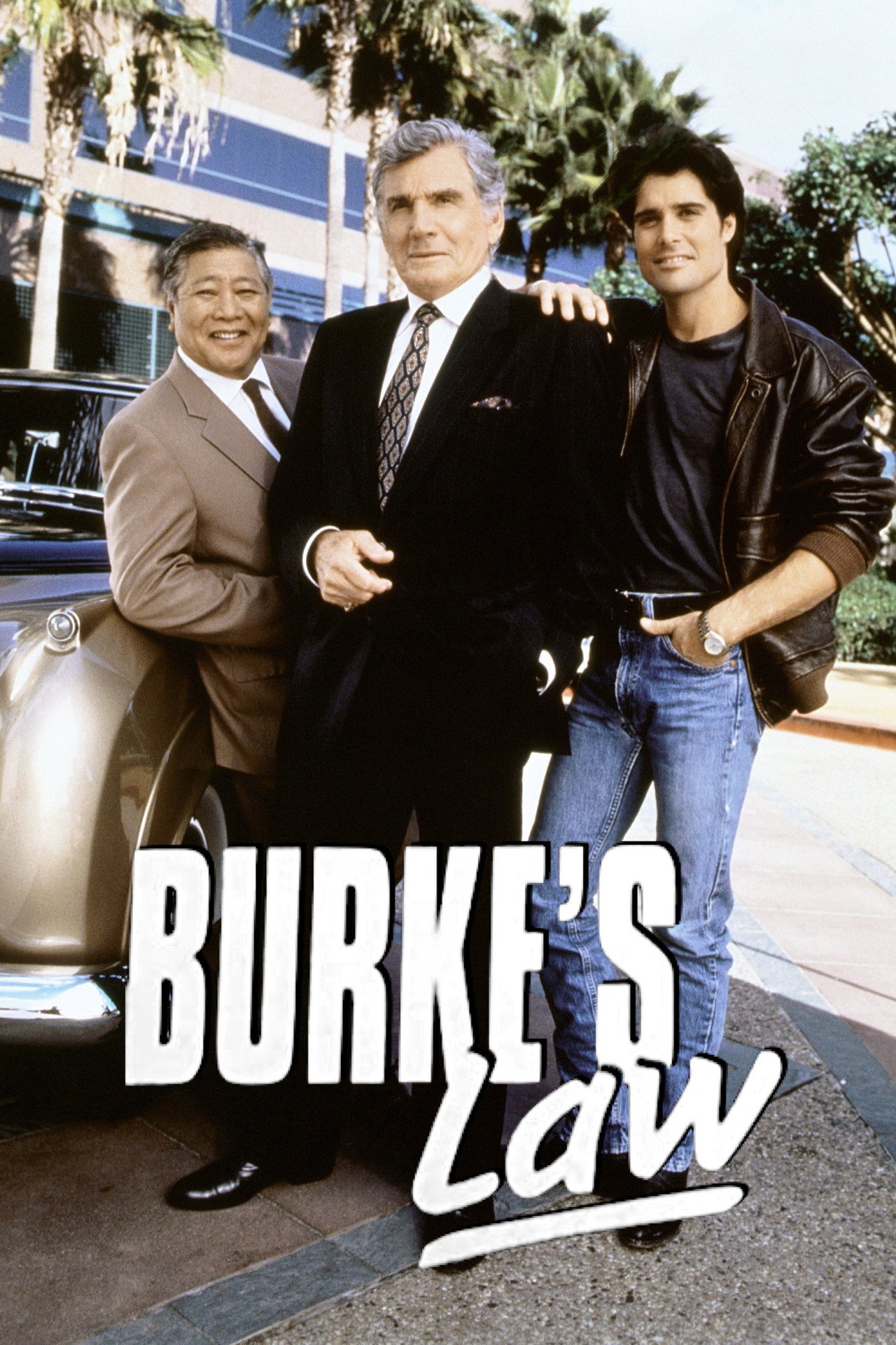 Pôster de Burke's Law