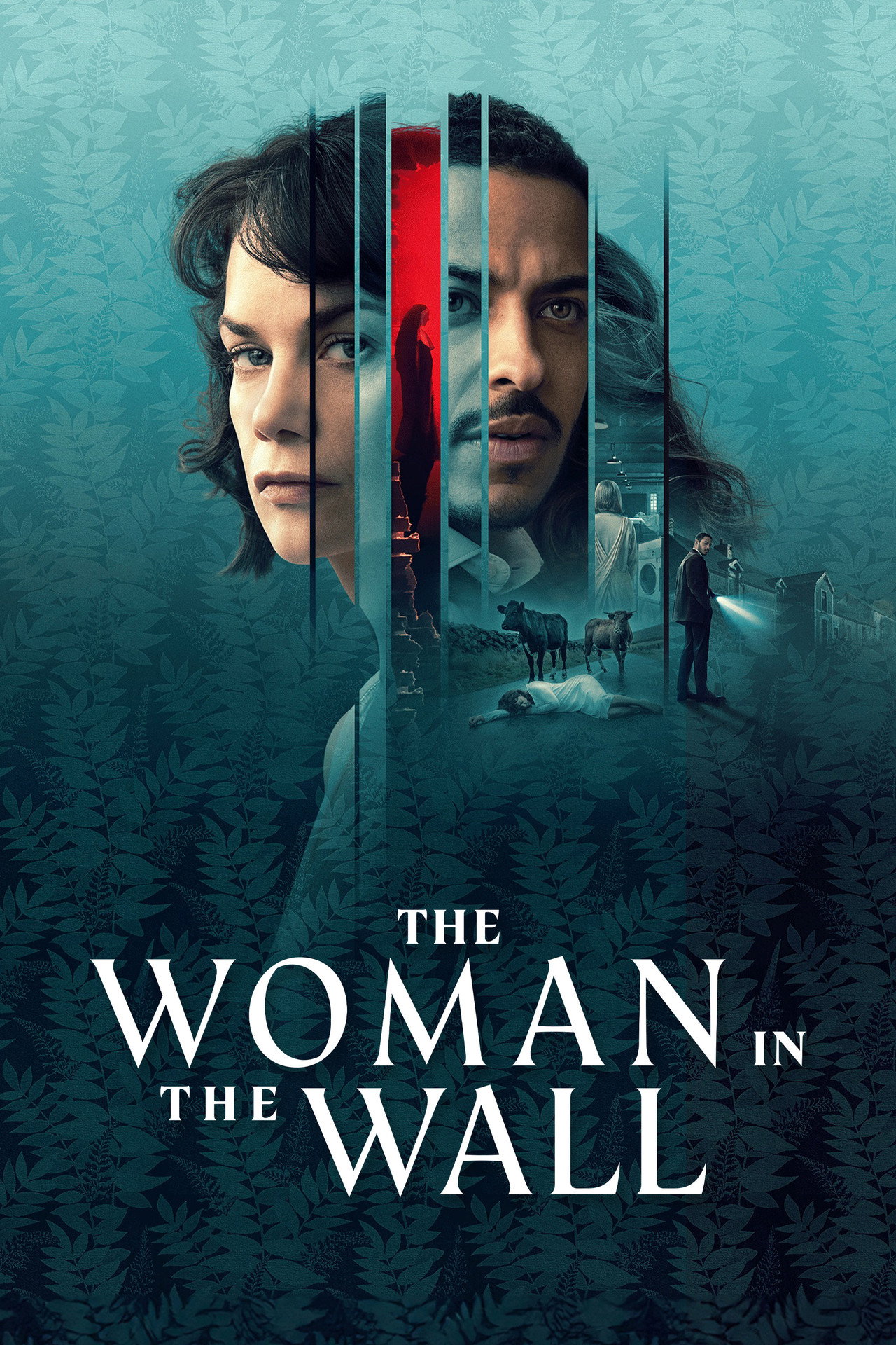 Pôster de The Woman in the Wall