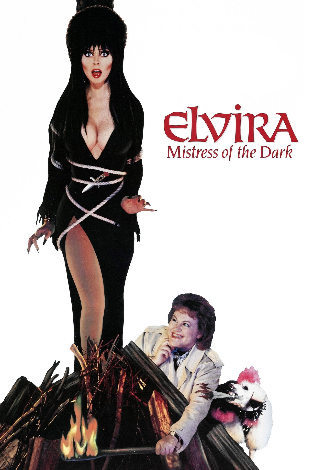Pôster de Elvira: Mistress of the Dark