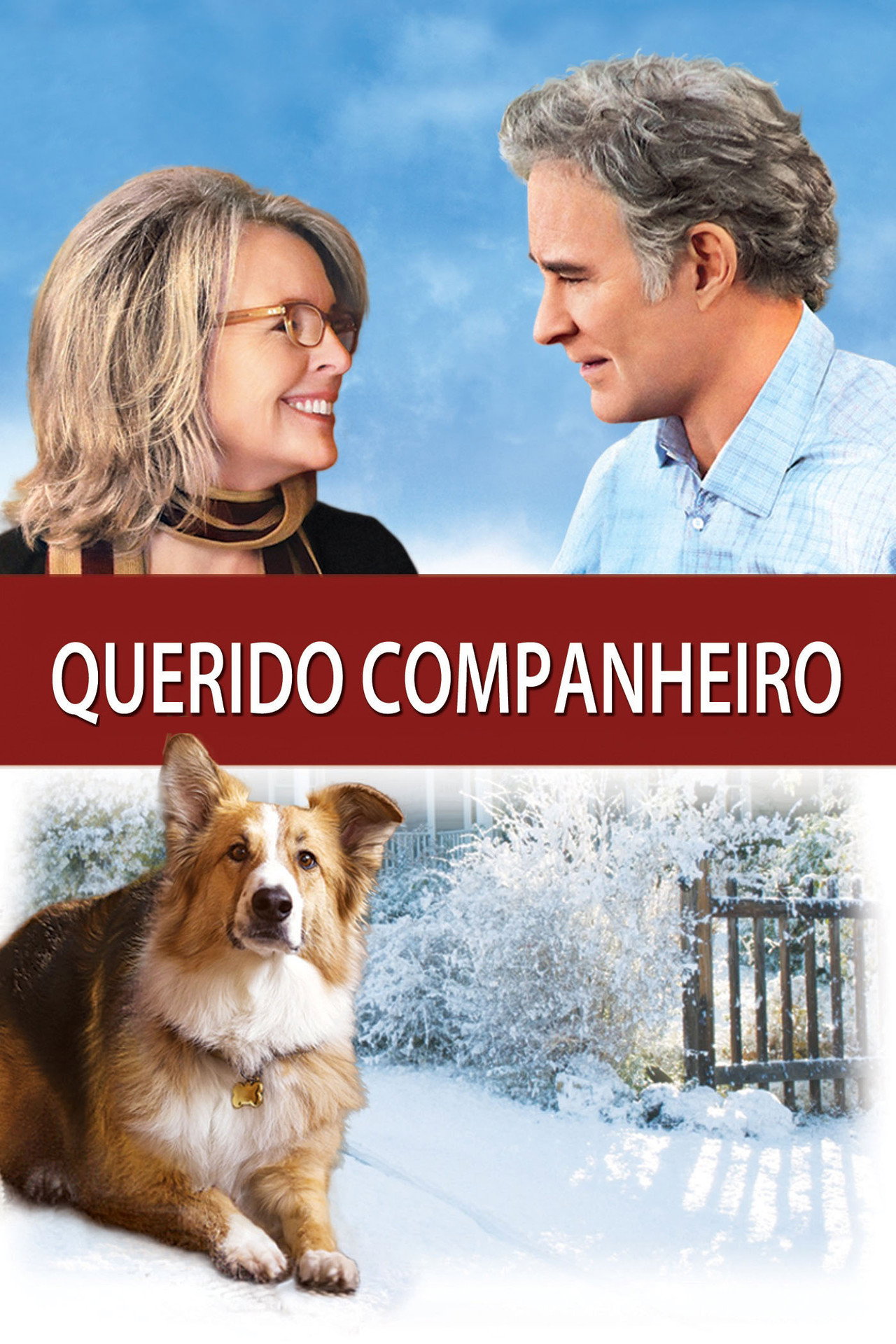 Pôster de Querido Companheiro