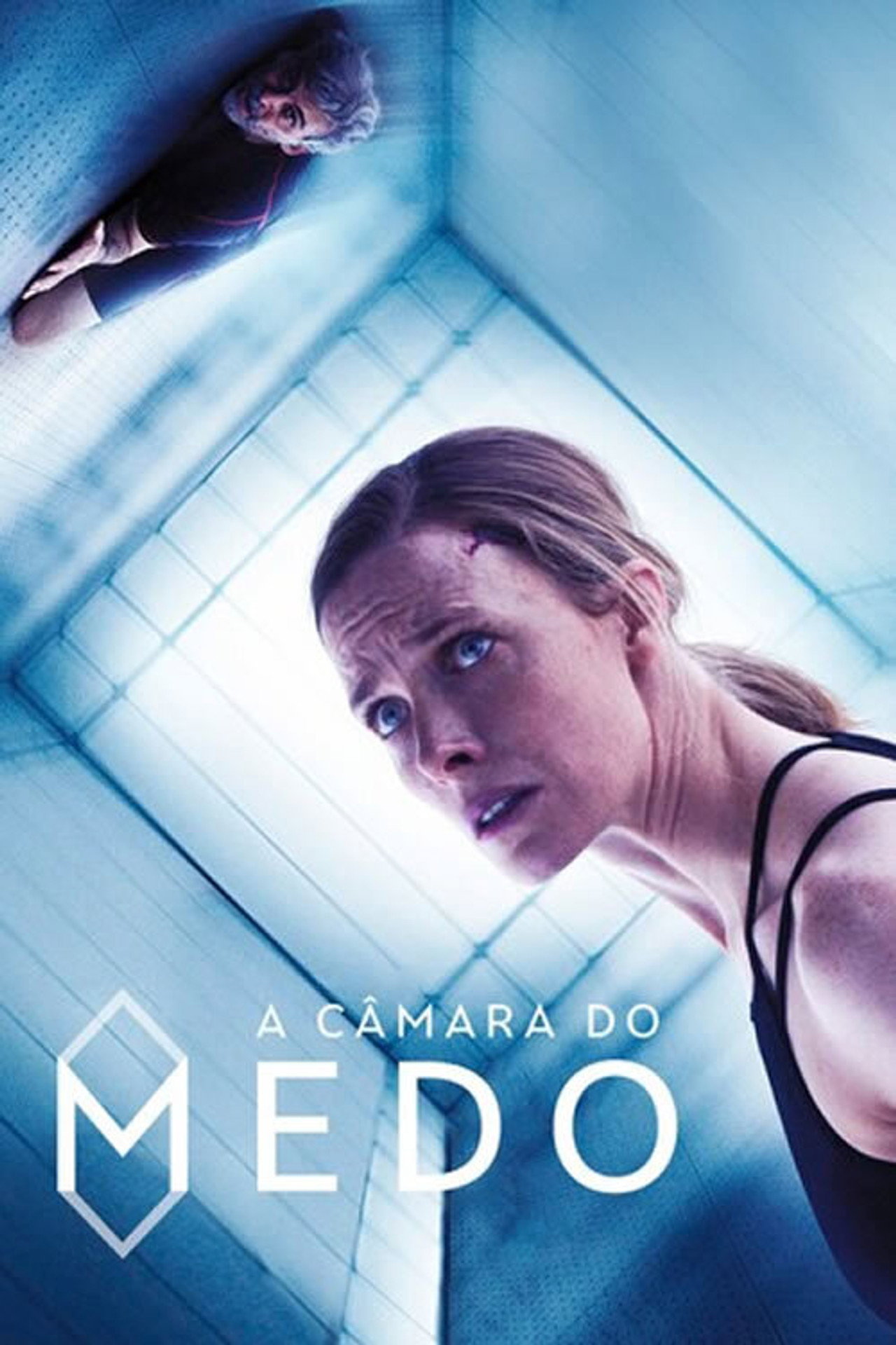 Pôster de A Câmara do Medo