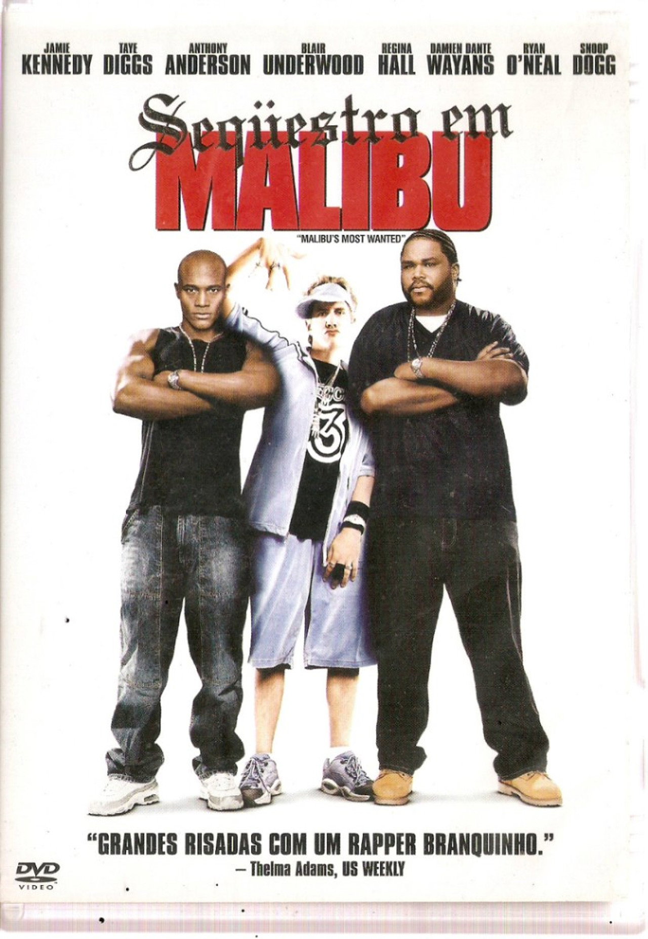 Pôster de Sequestro em Malibu