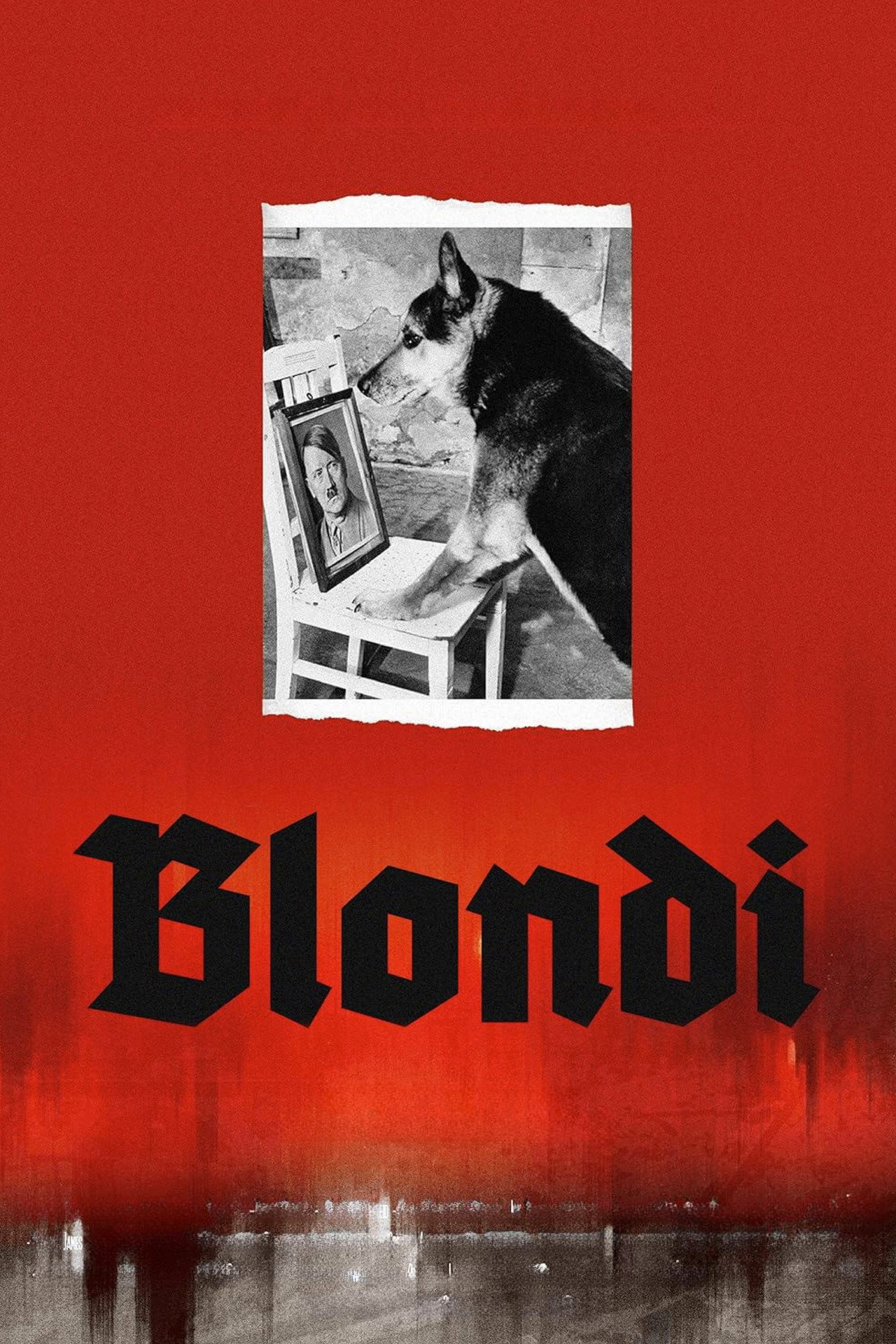 Pôster de Blondi