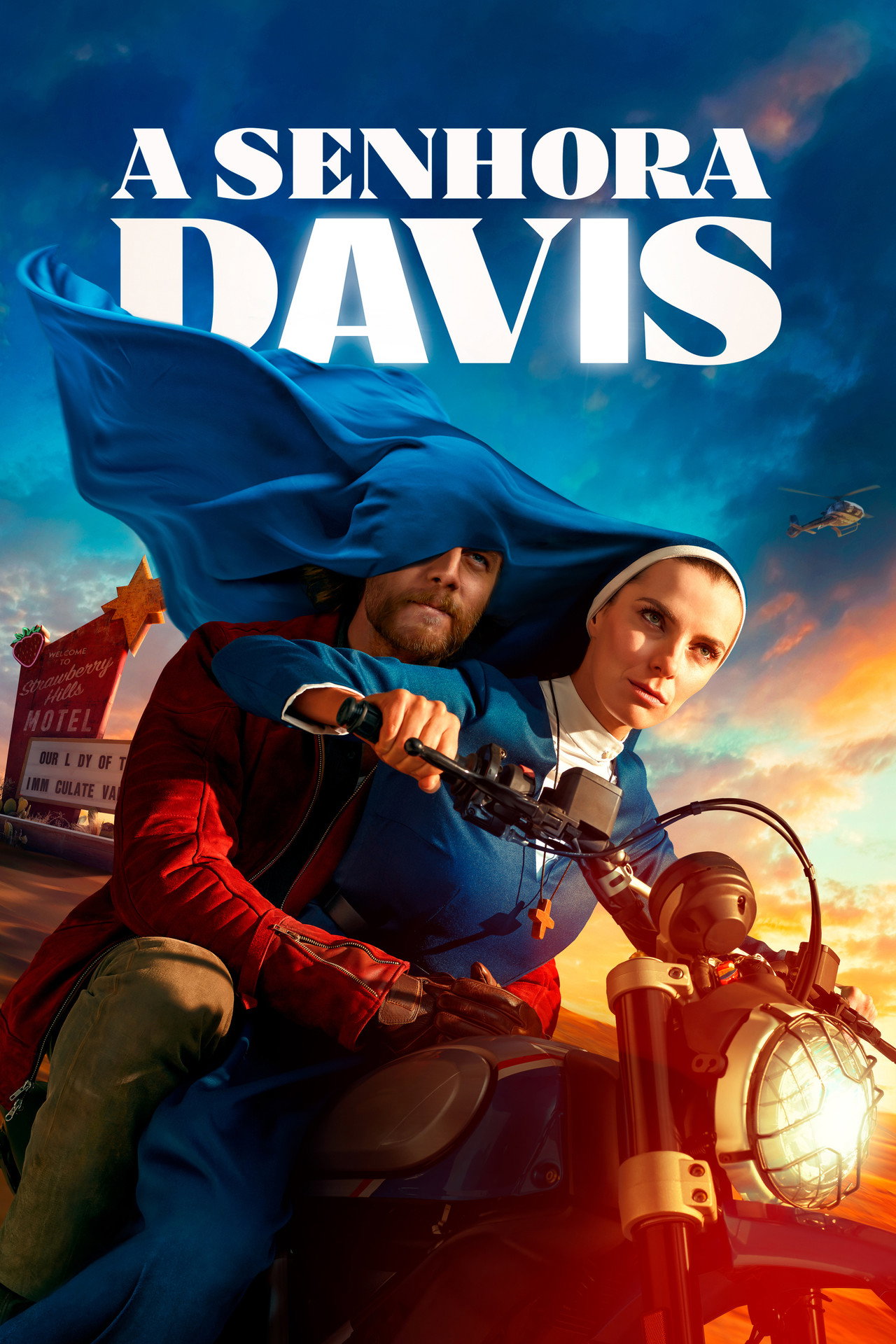 Pôster de A Senhora Davis