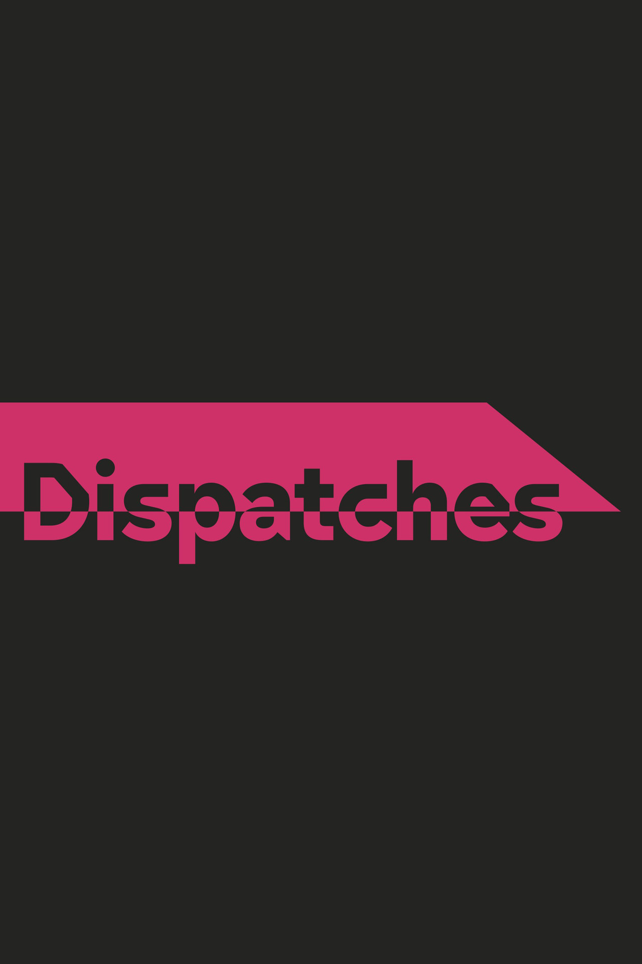 Pôster de Dispatches