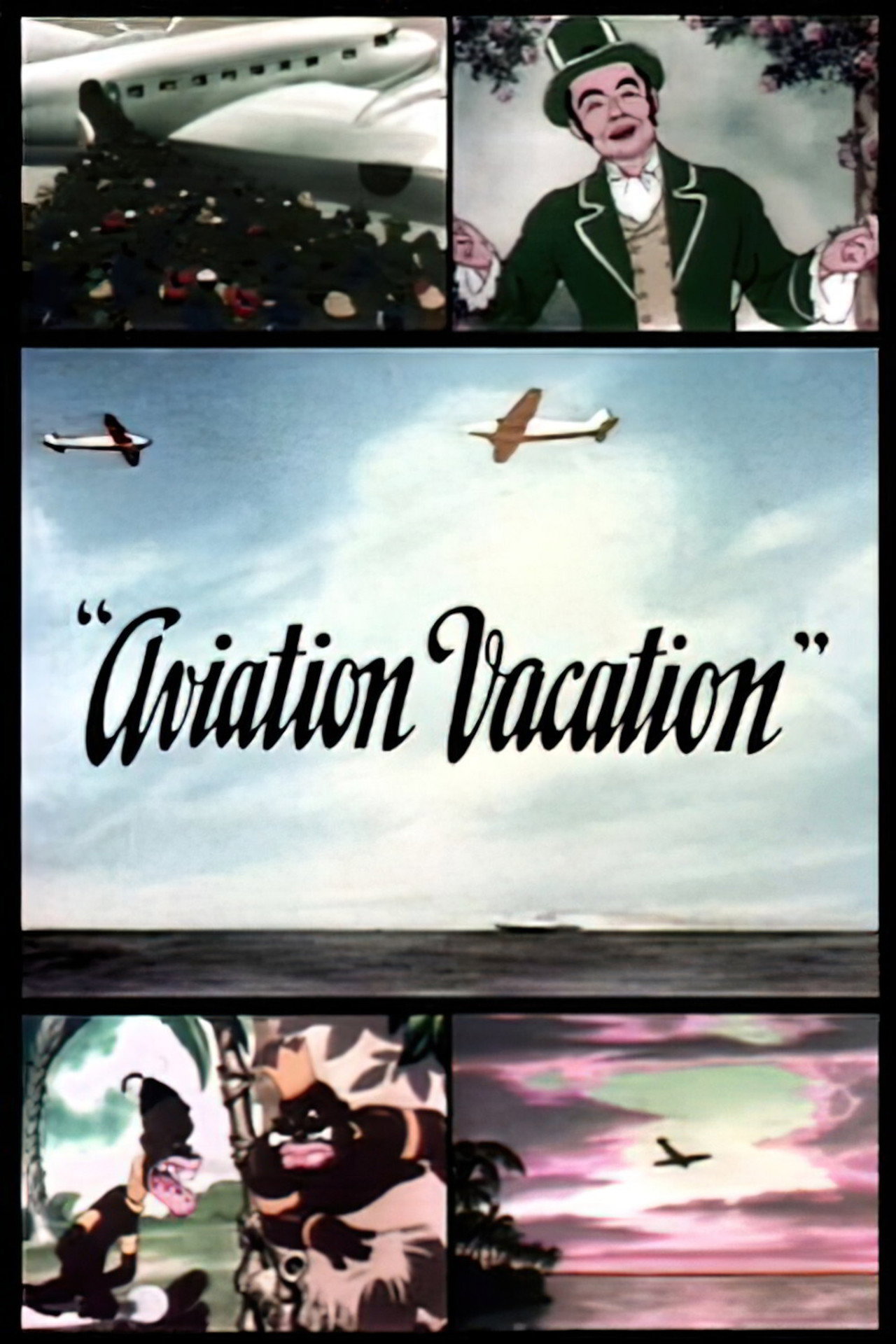 Pôster de Aviation Vacation
