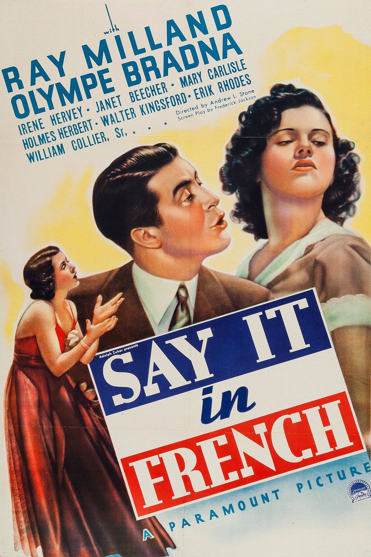 Pôster de Say It in French