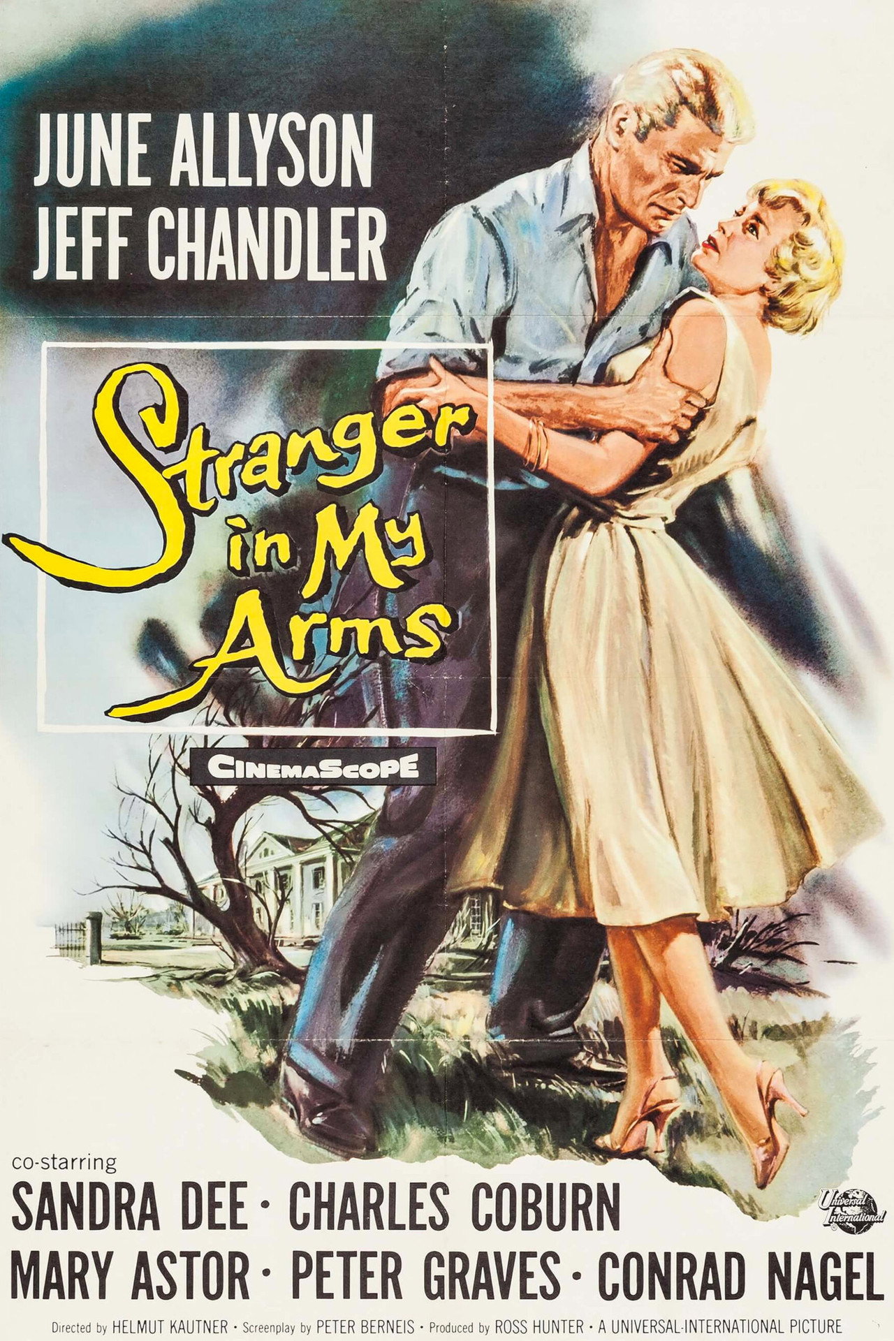 Pôster de A Stranger in My Arms