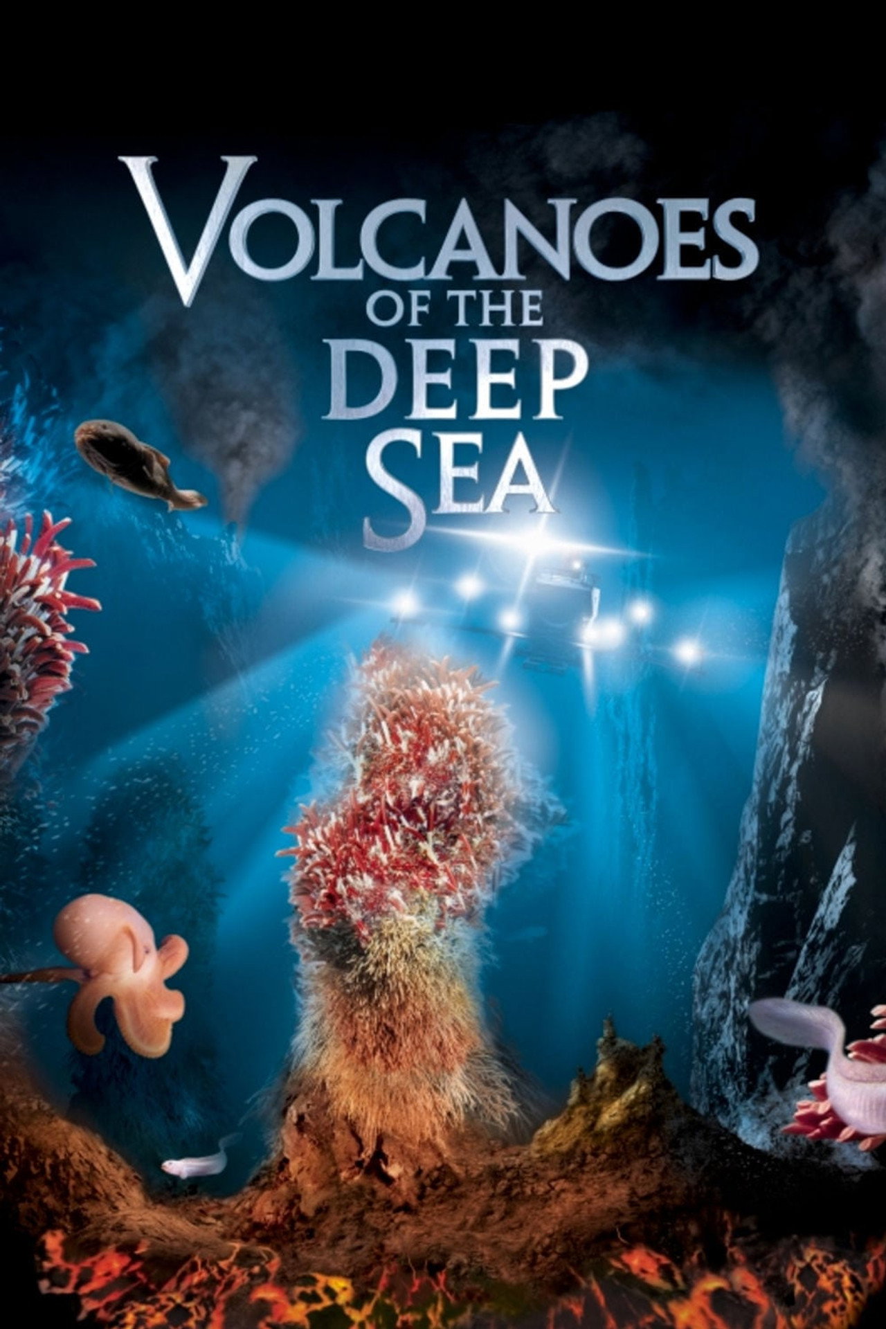 Pôster de Volcanoes of the Deep Sea