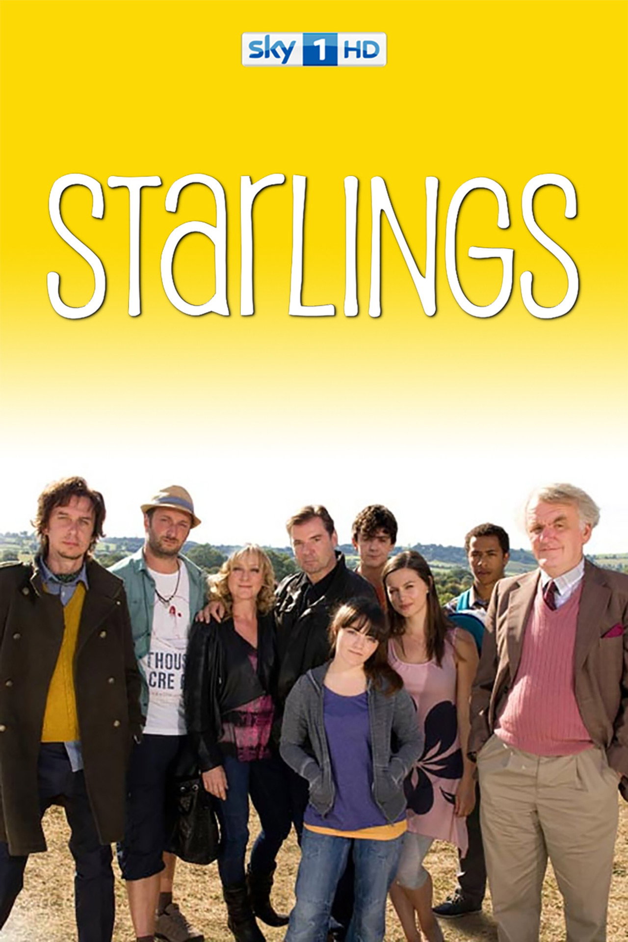 Pôster de Starlings