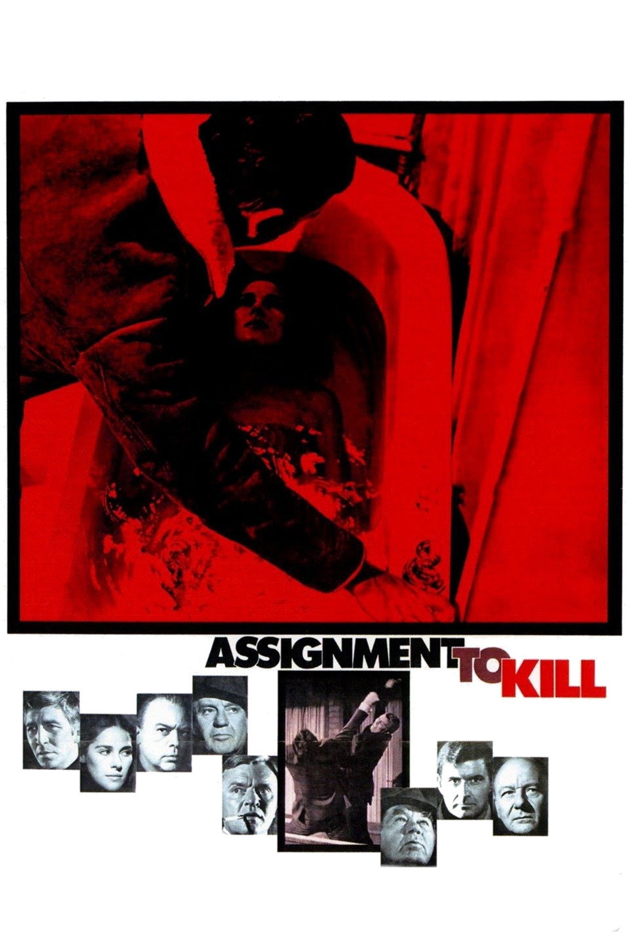 Pôster de Assignment to Kill