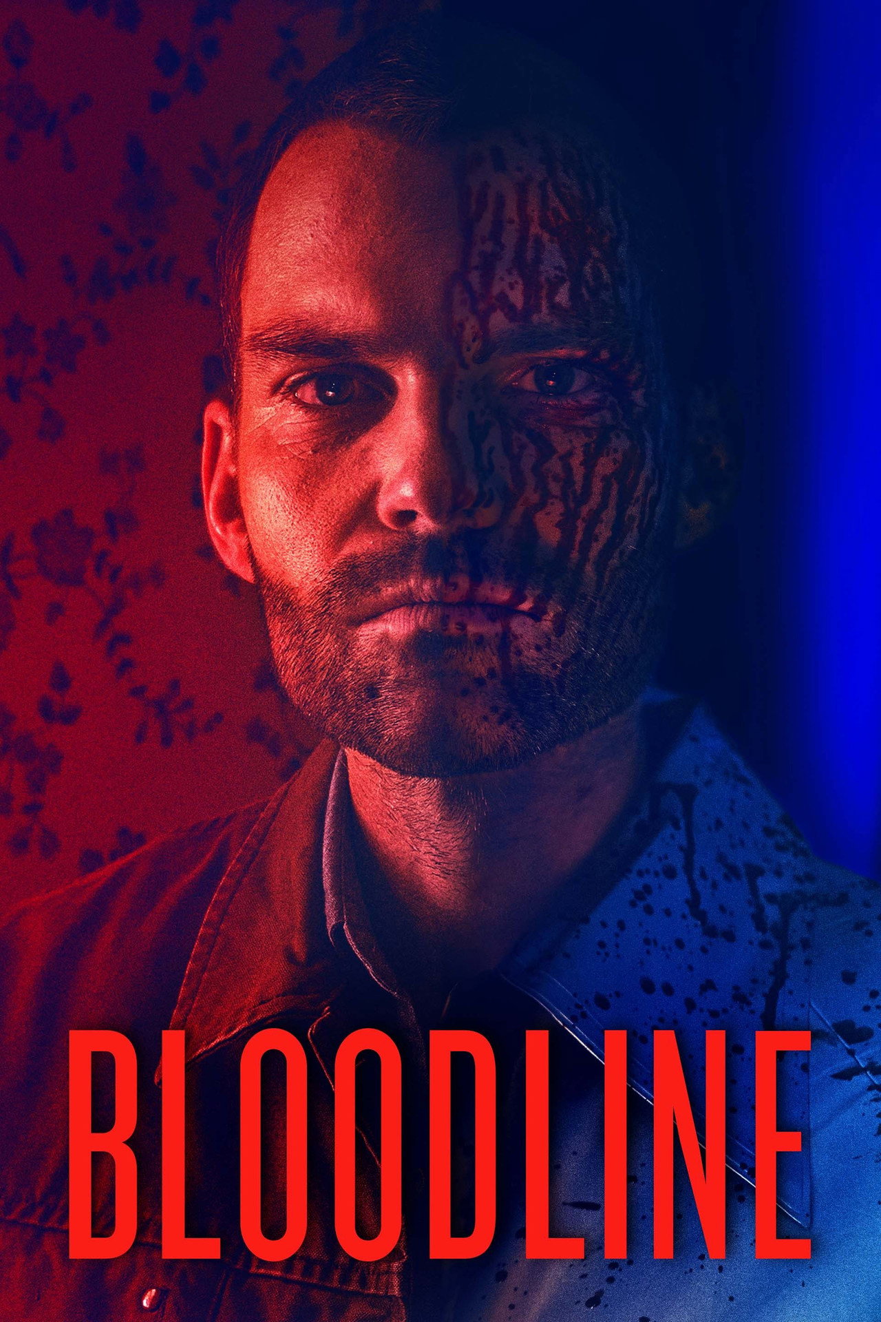 Pôster de Bloodline