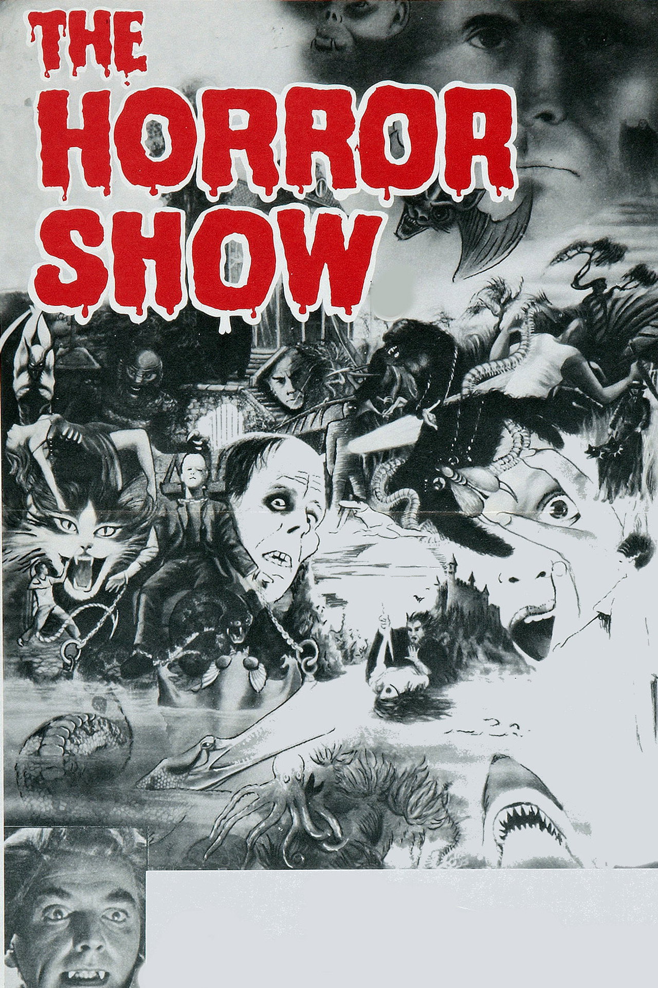 Pôster de The Horror Show