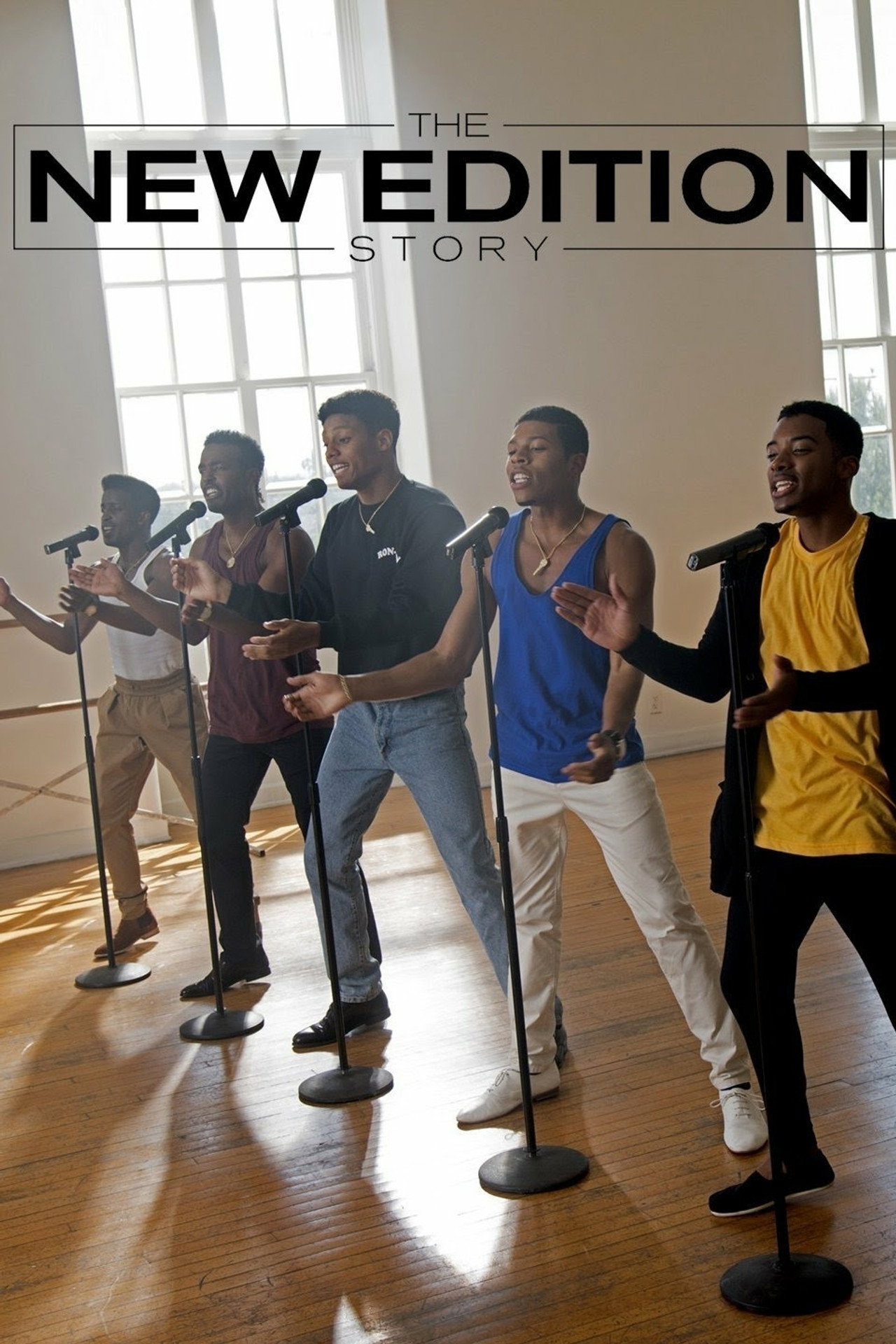 Pôster de The New Edition Story
