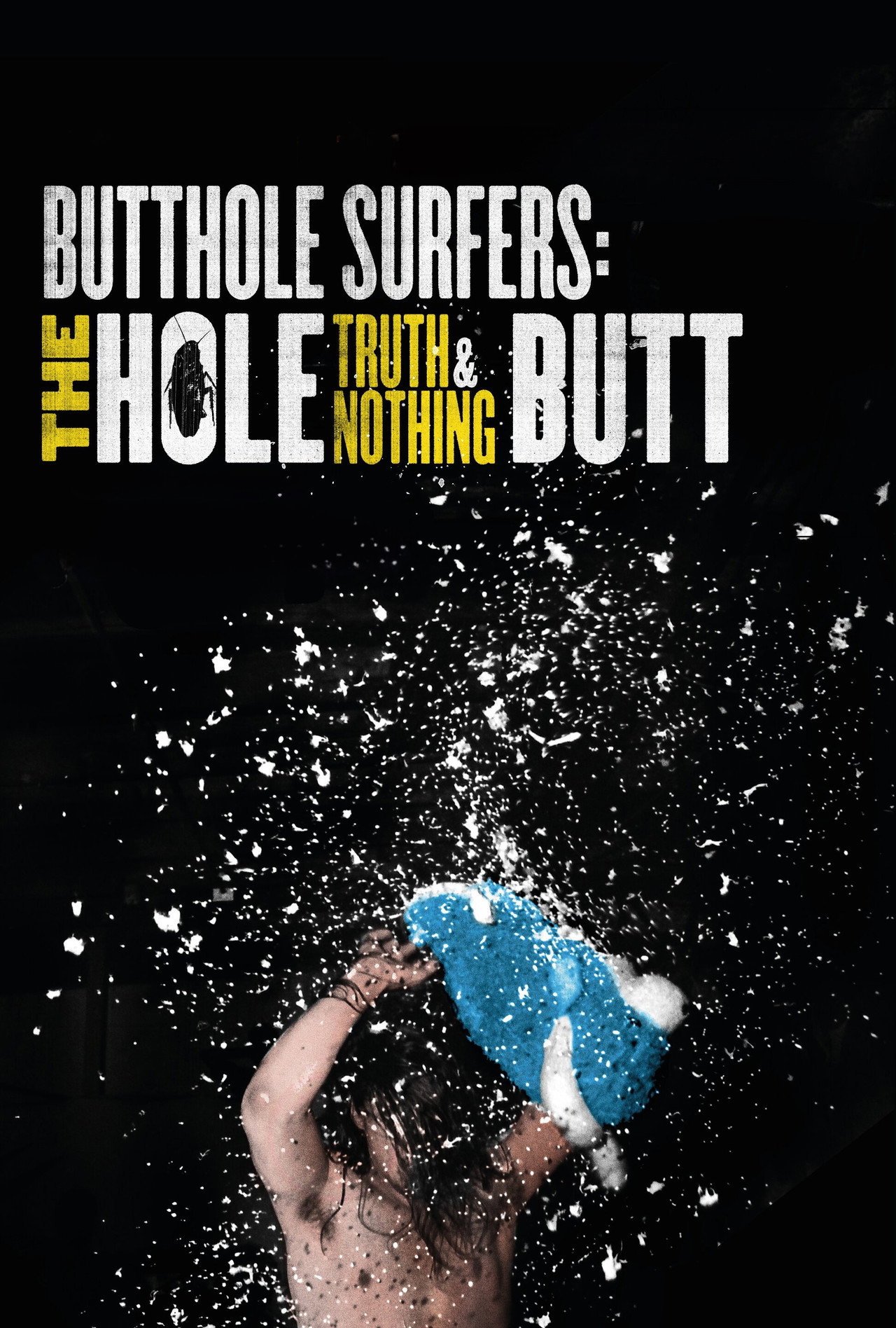 Pôster de Butthole Surfers: The Hole Truth and Nothing Butt