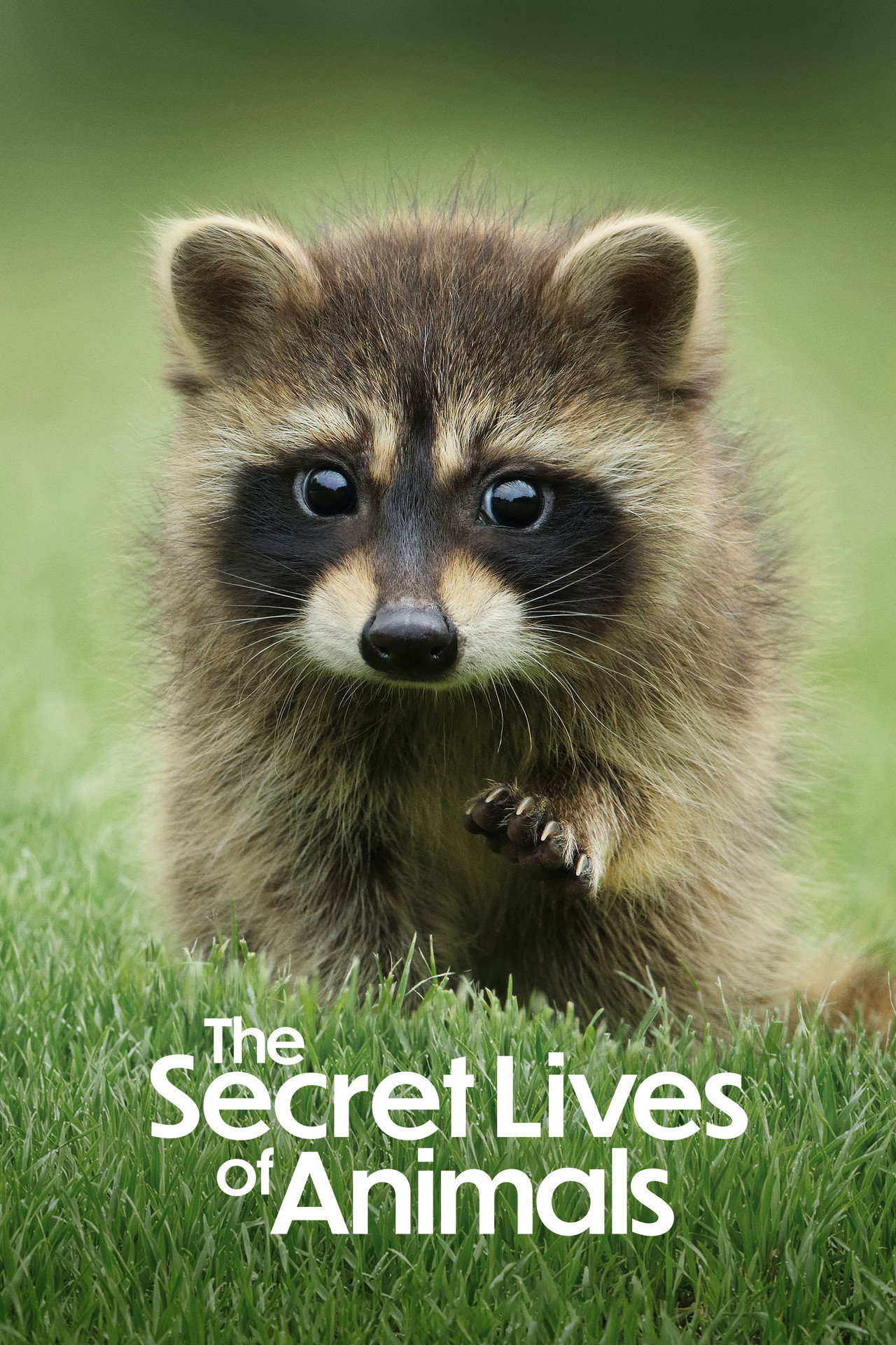Pôster de The Secret Lives of Animals