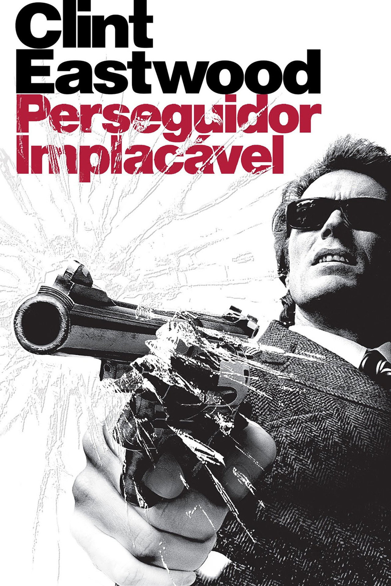 Pôster de Perseguidor Implacável