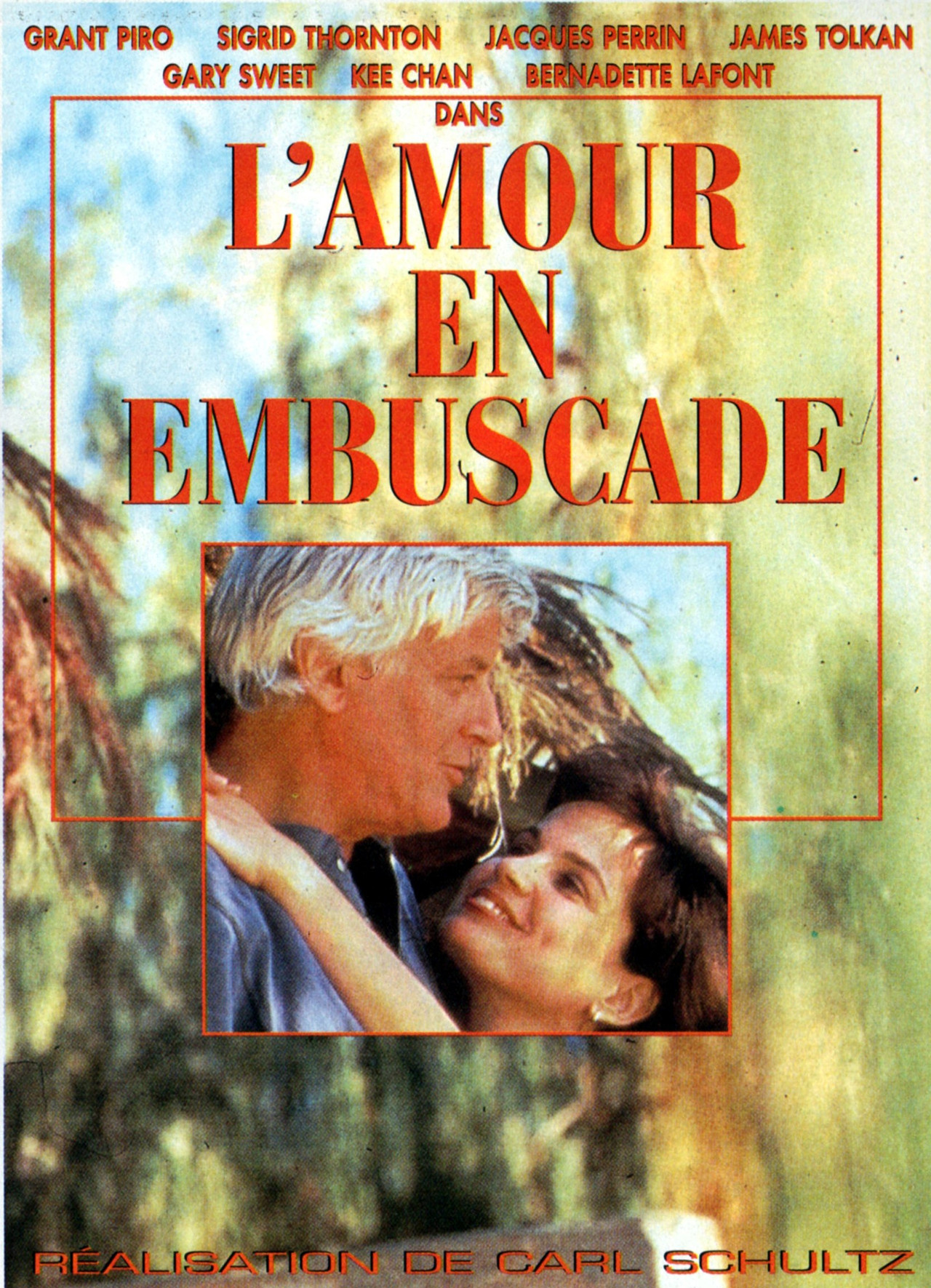 Pôster de Love in Ambush