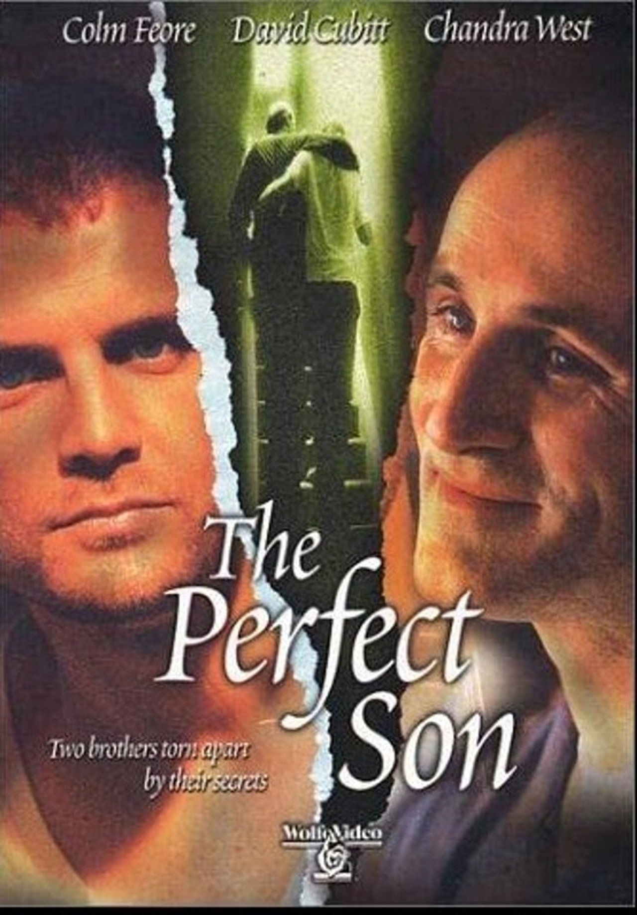 Pôster de The Perfect Son