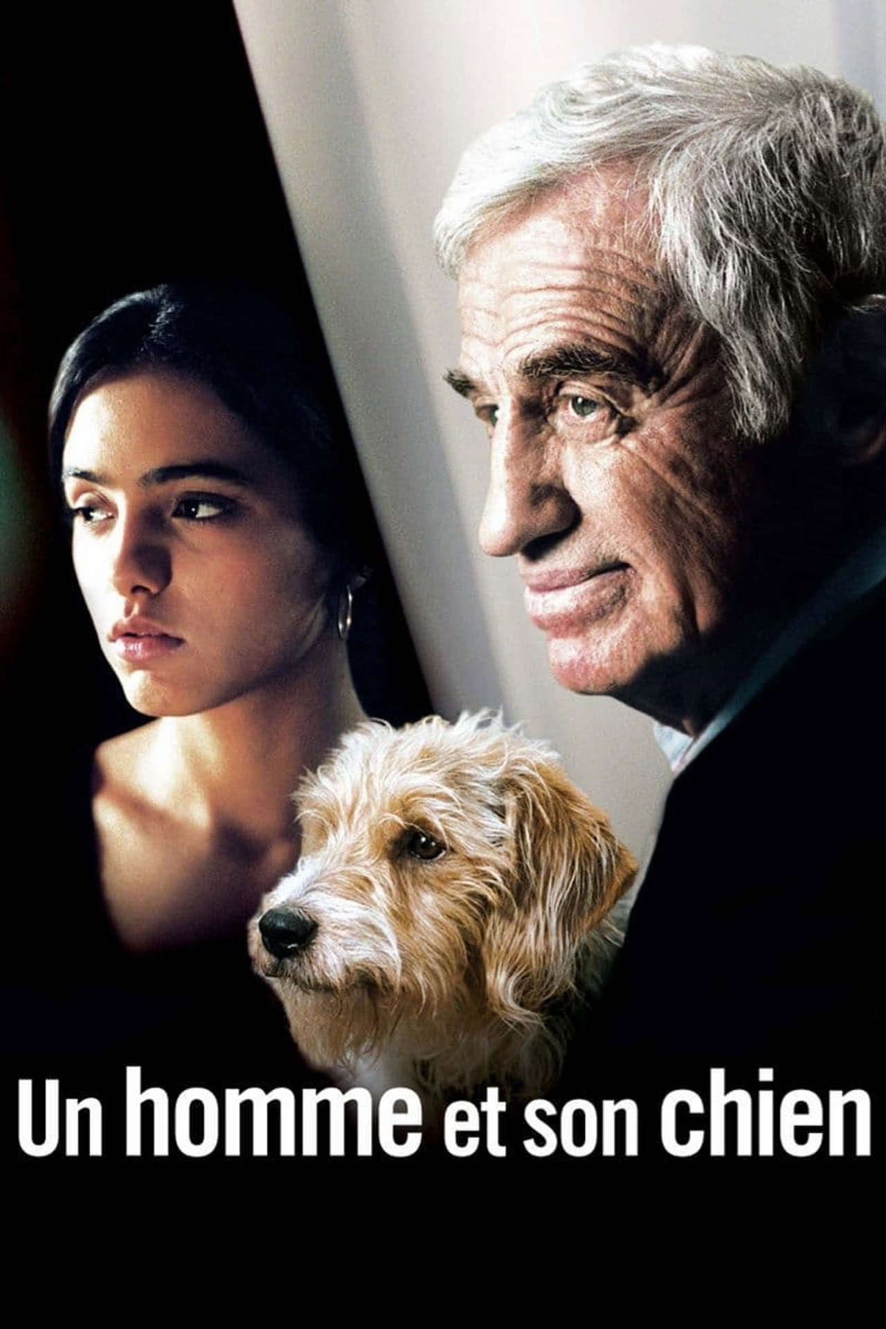 Pôster de Un homme et son chien