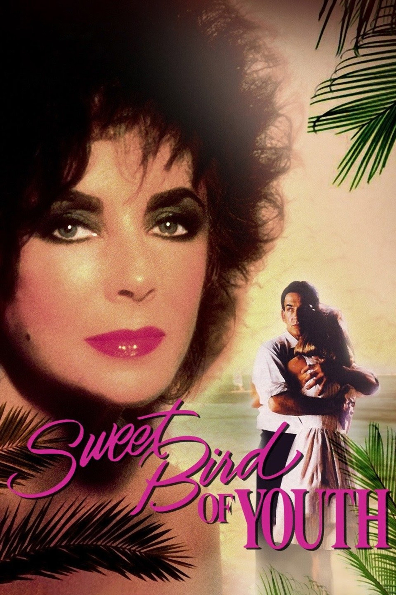 Pôster de Sweet Bird of Youth