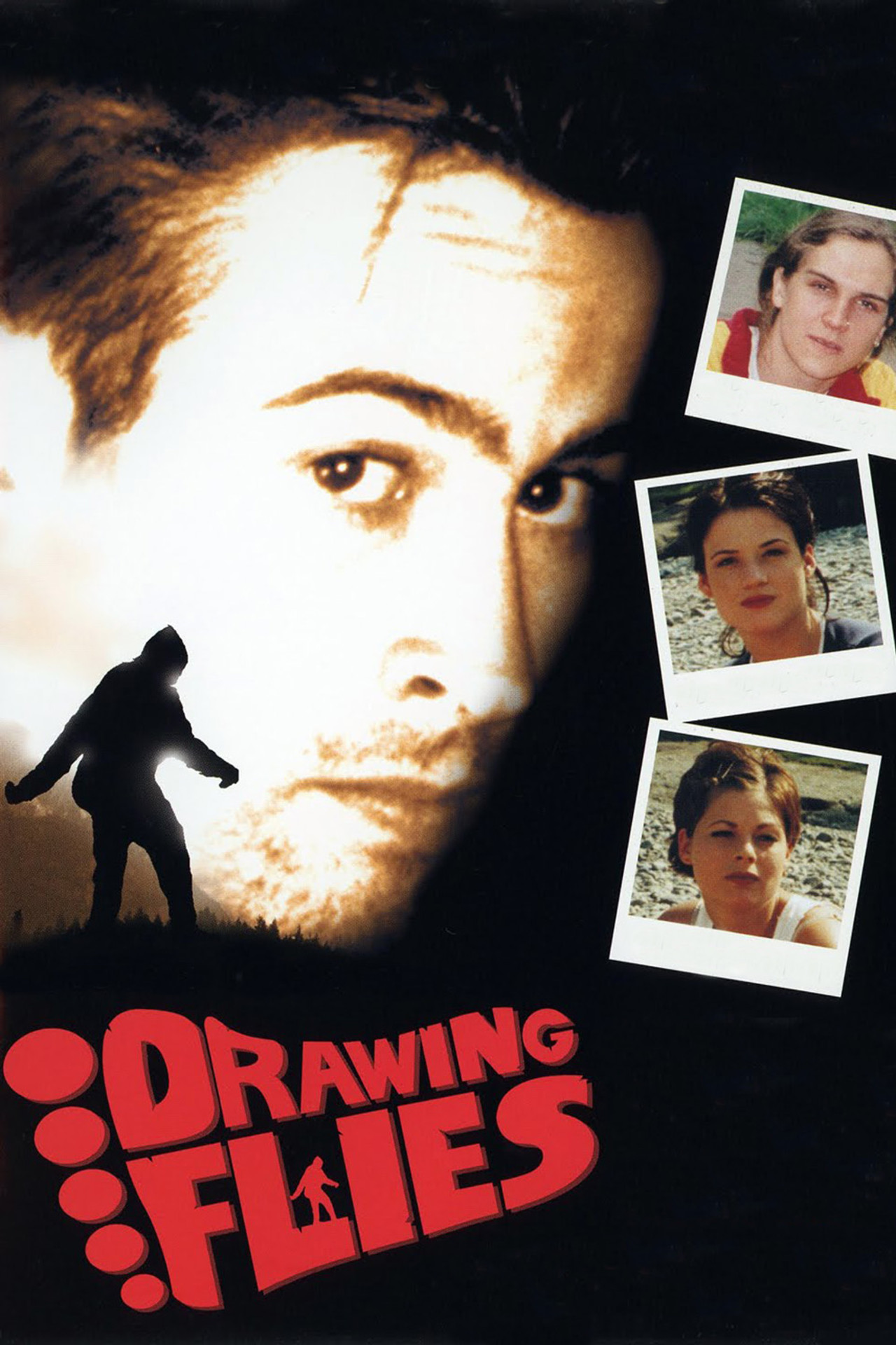 Pôster de Drawing Flies