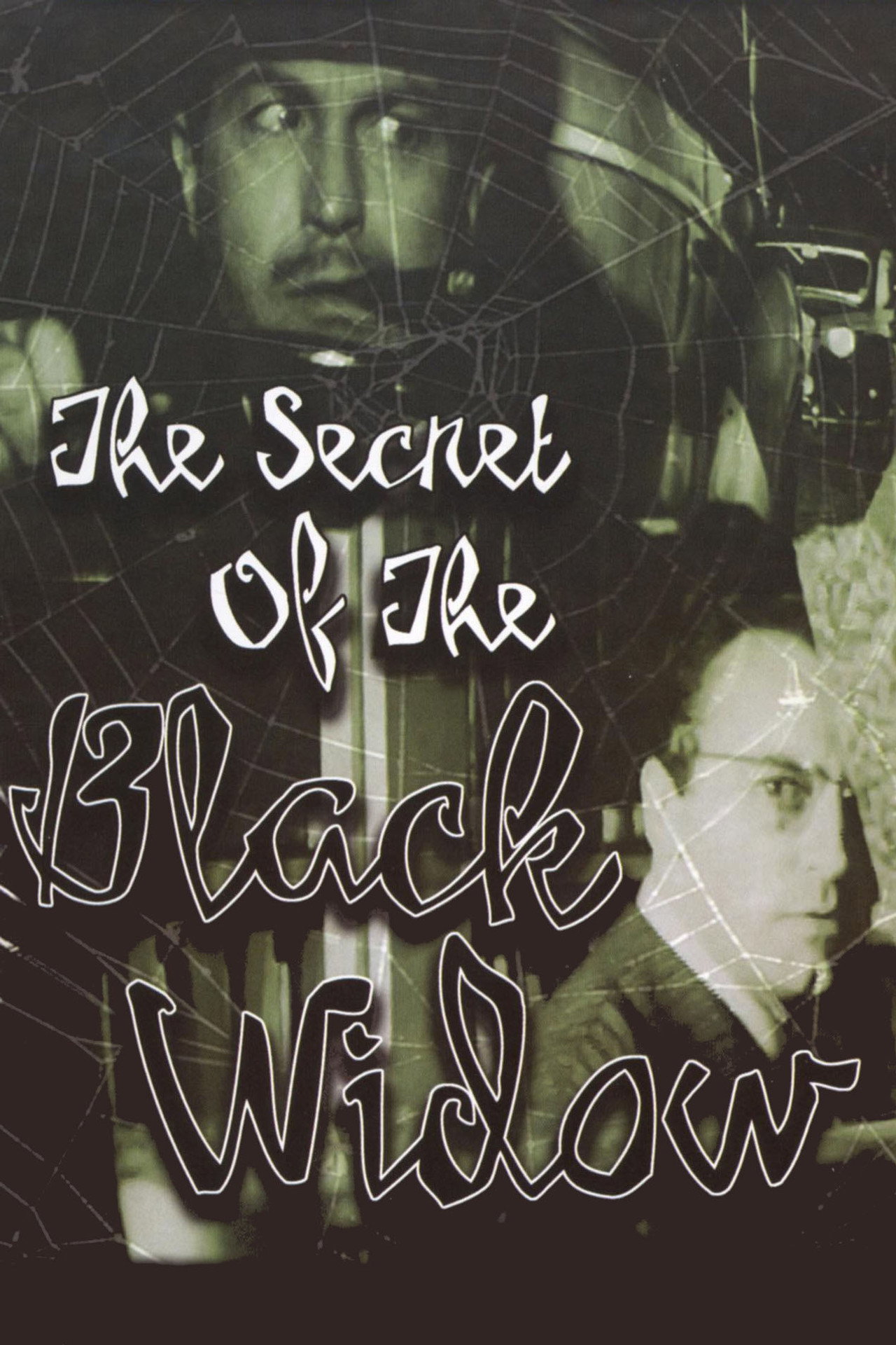 Pôster de The Secret of the Black Widow