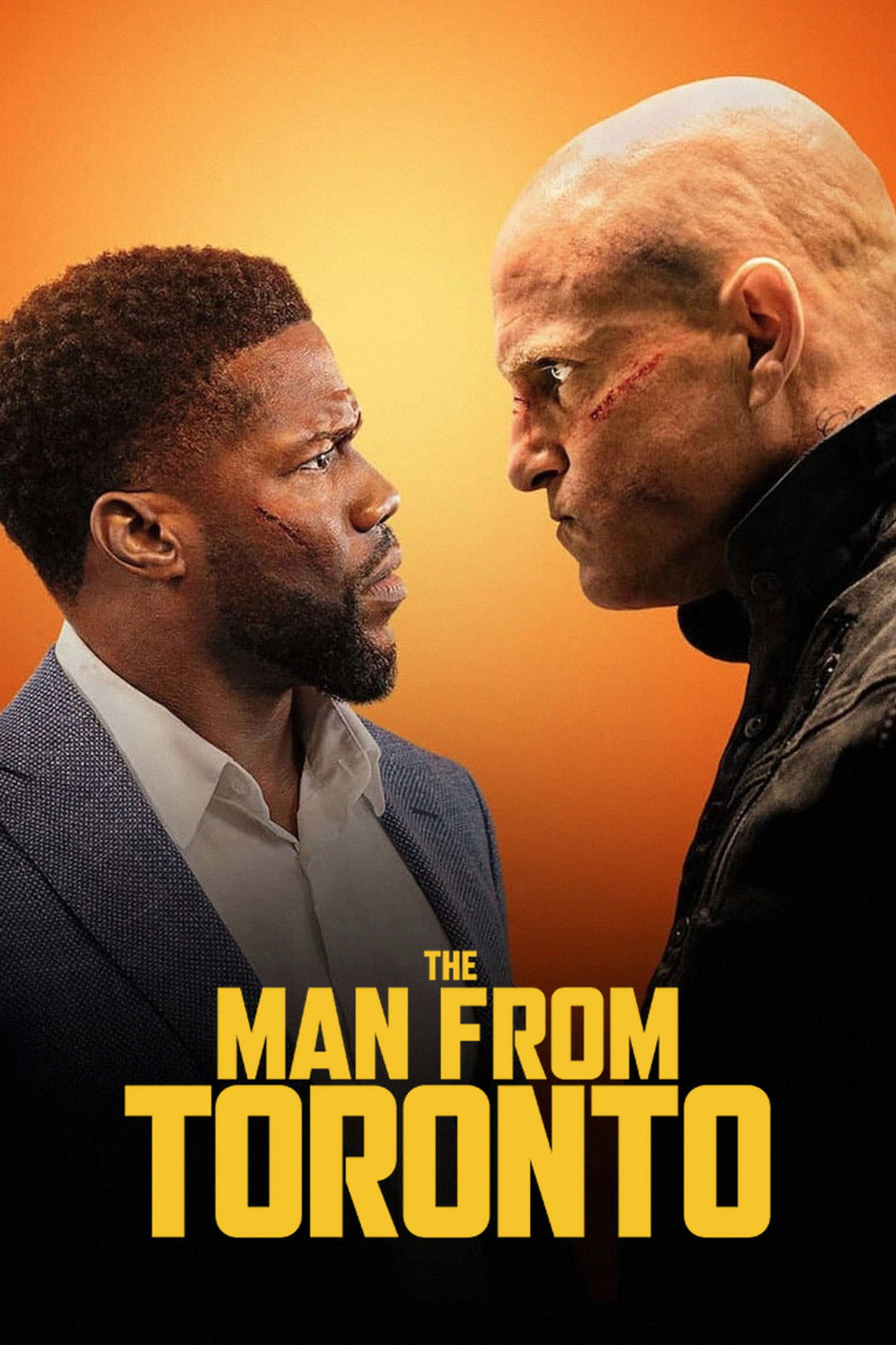 Pôster de The Man from Toronto