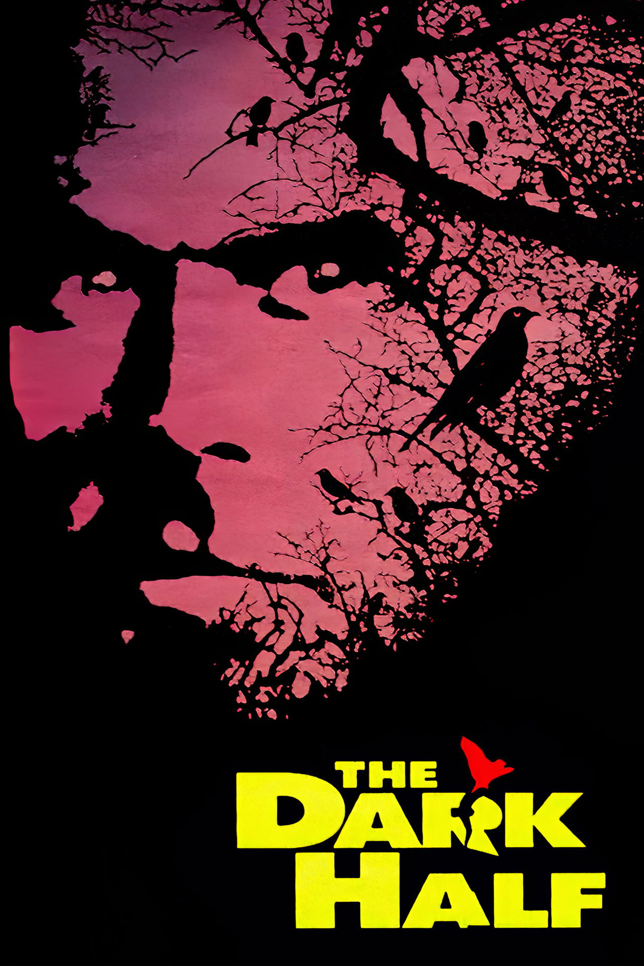 Pôster de The Dark Half