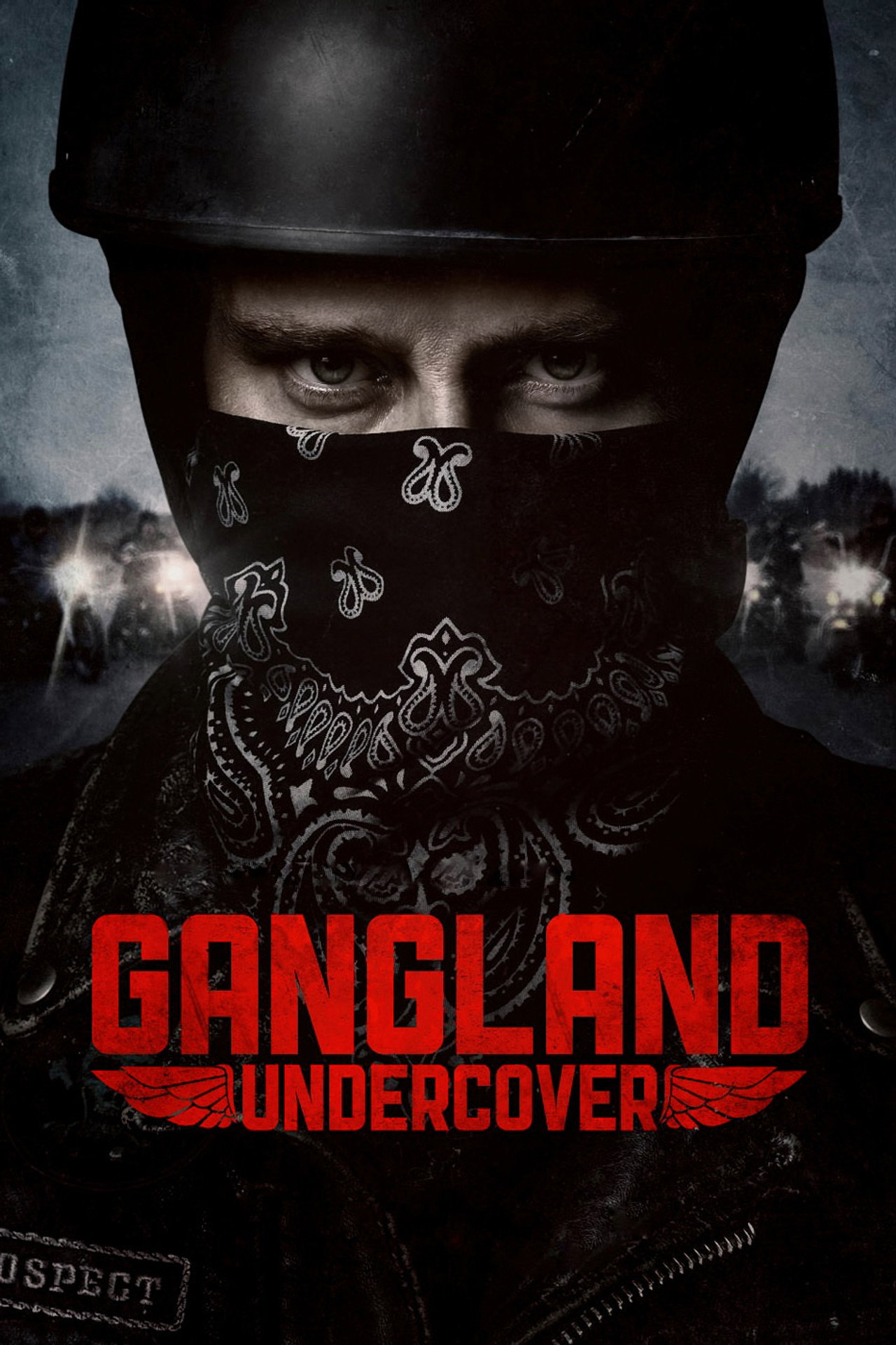 Pôster de Gangland Undercover