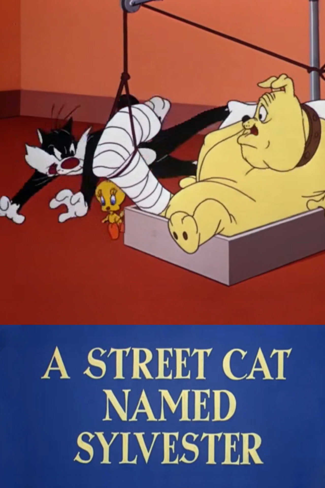 Pôster de A Street Cat Named Sylvester