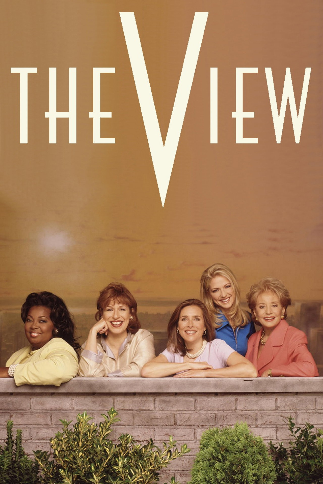 Pôster de The View