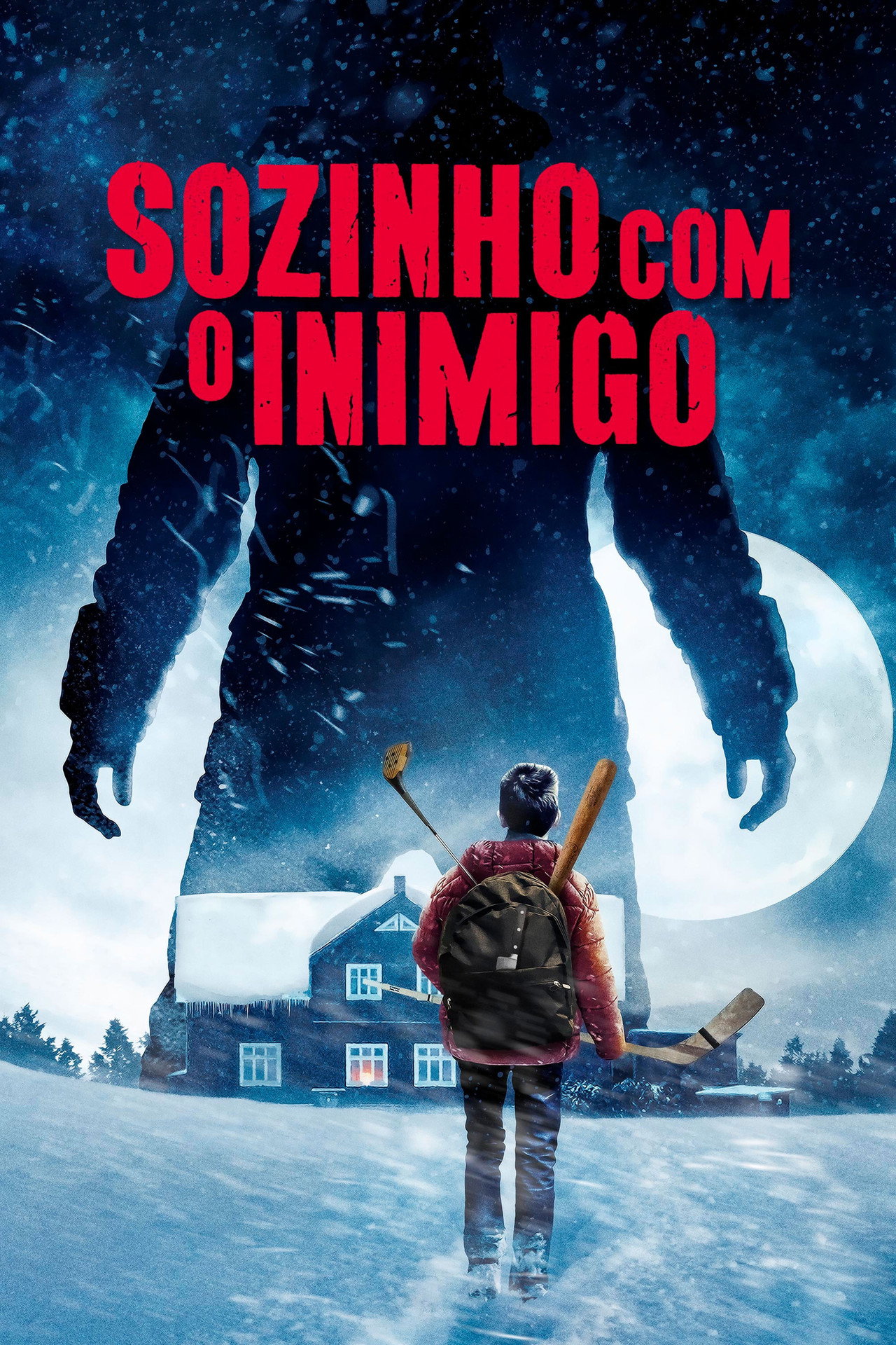 Pôster de Sozinho com o Inimigo