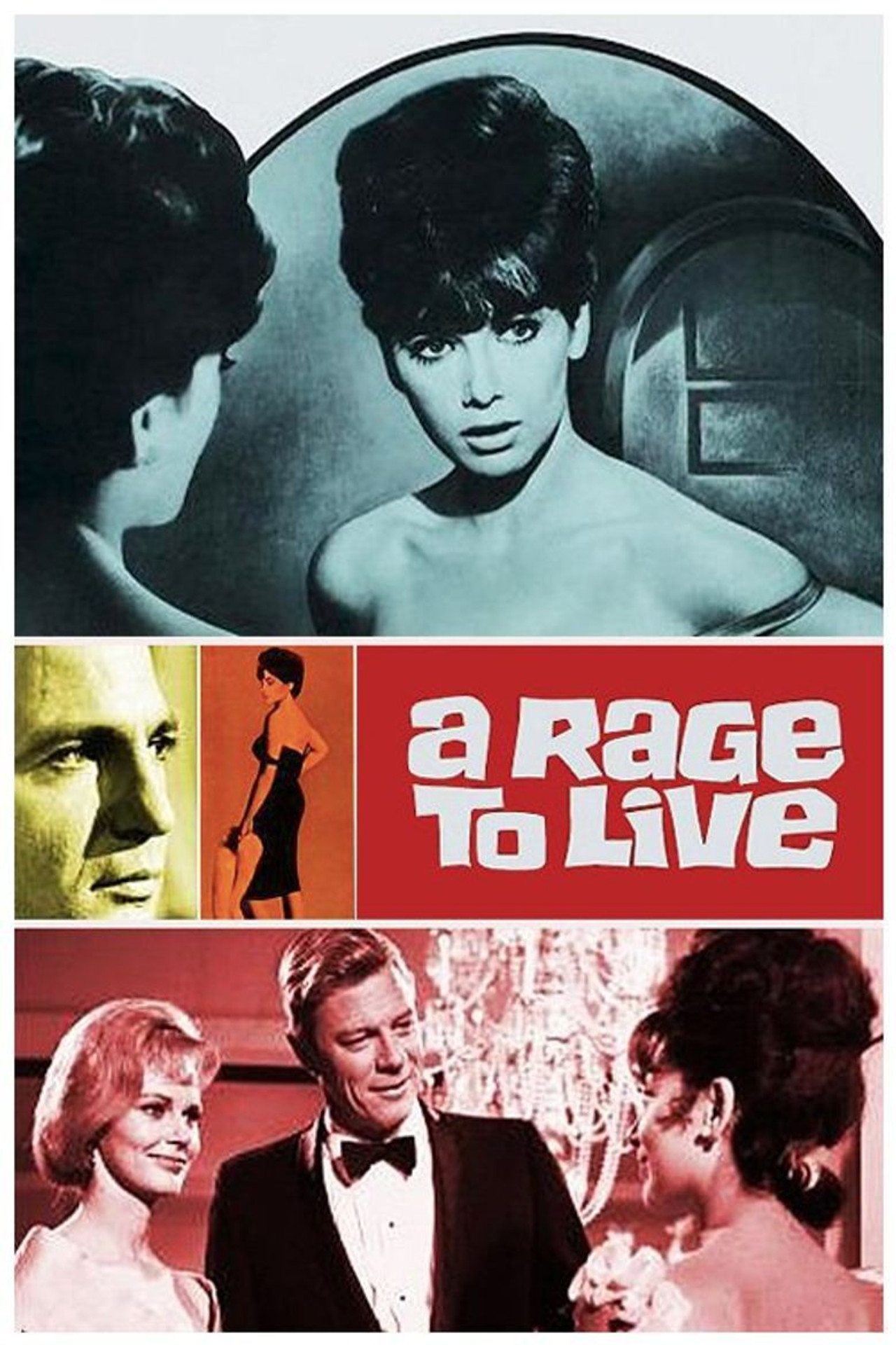 Pôster de A Rage to Live