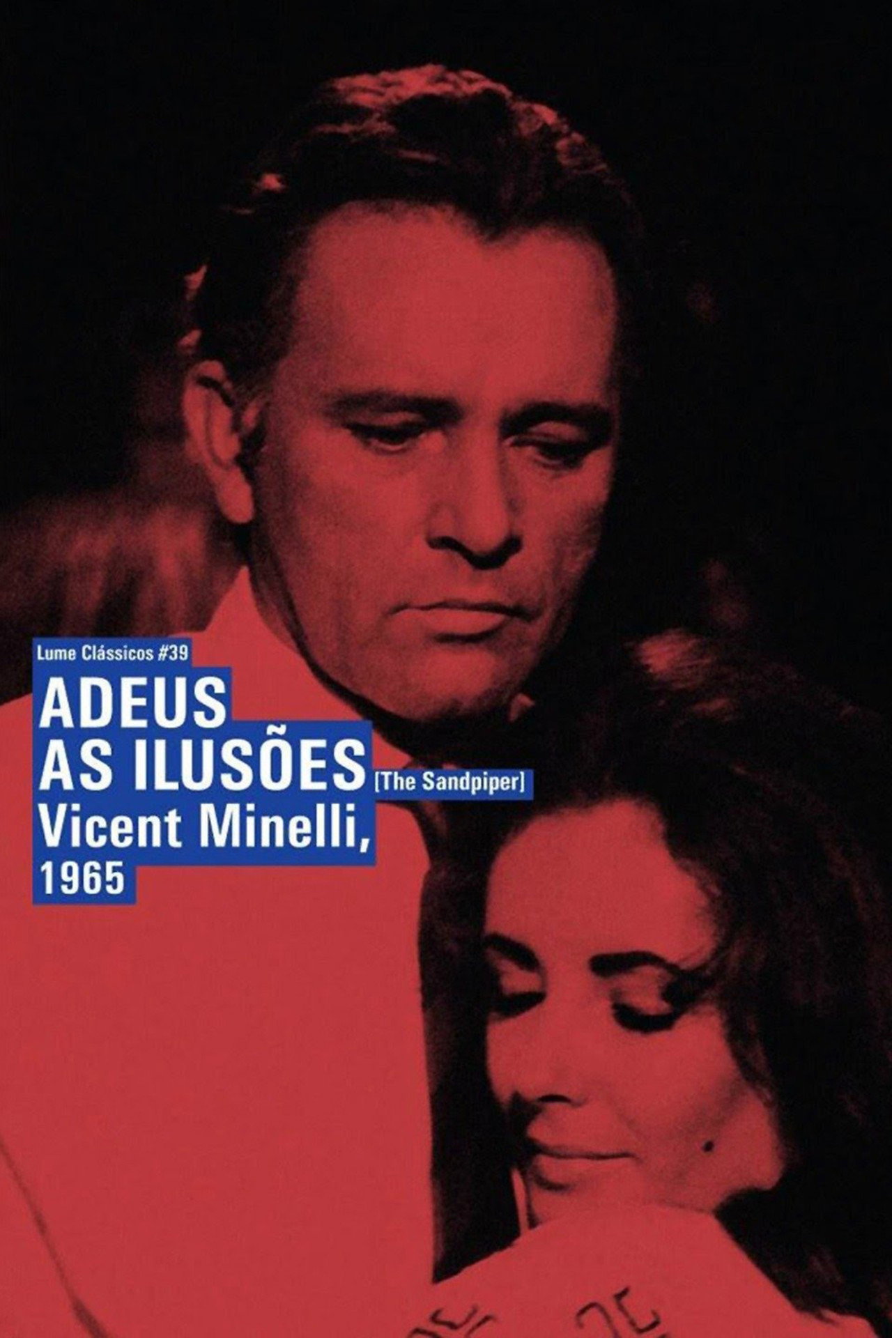 Pôster de Adeus às Ilusões