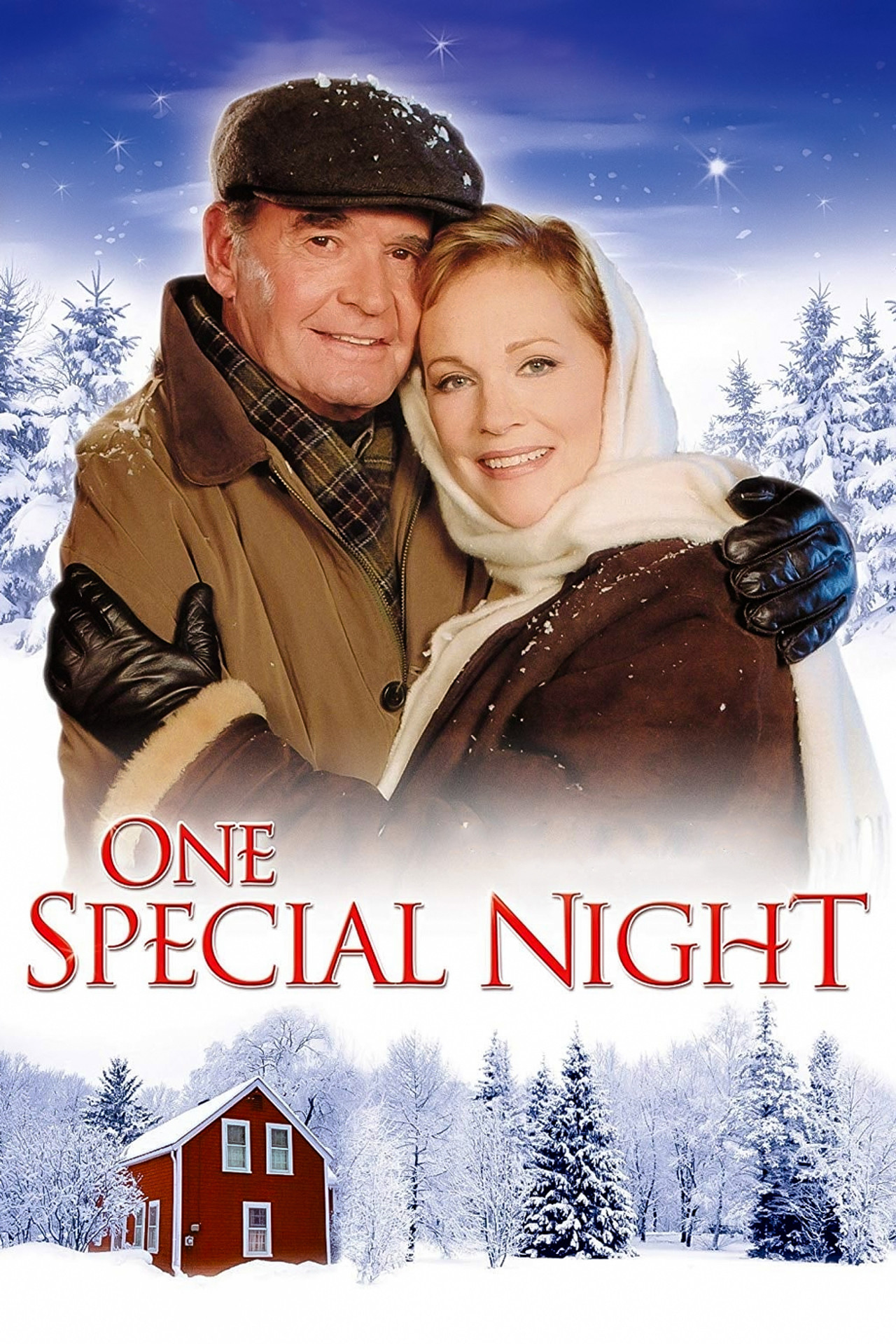 Pôster de One Special Night