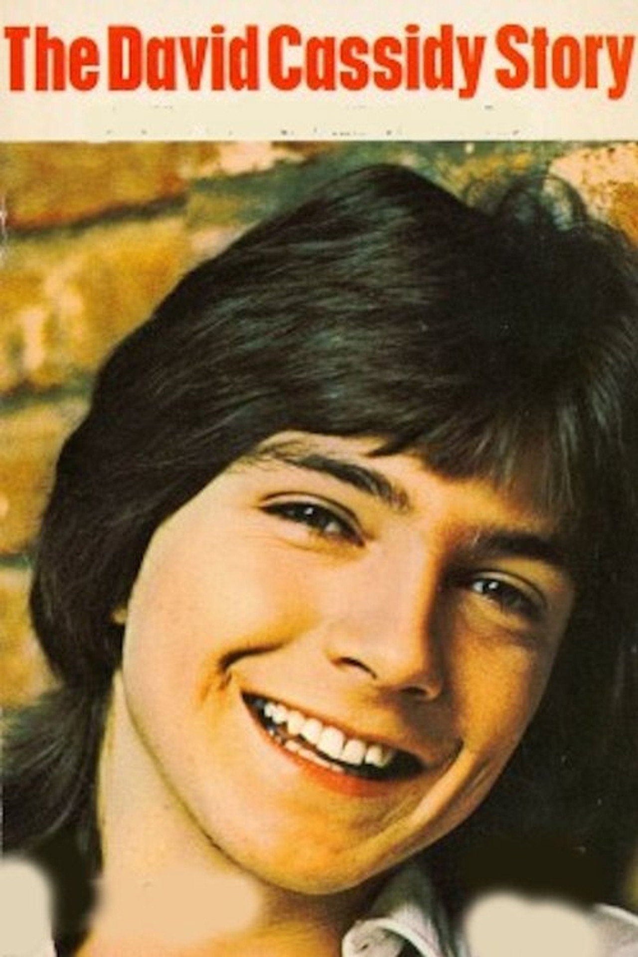 Pôster de The David Cassidy Story