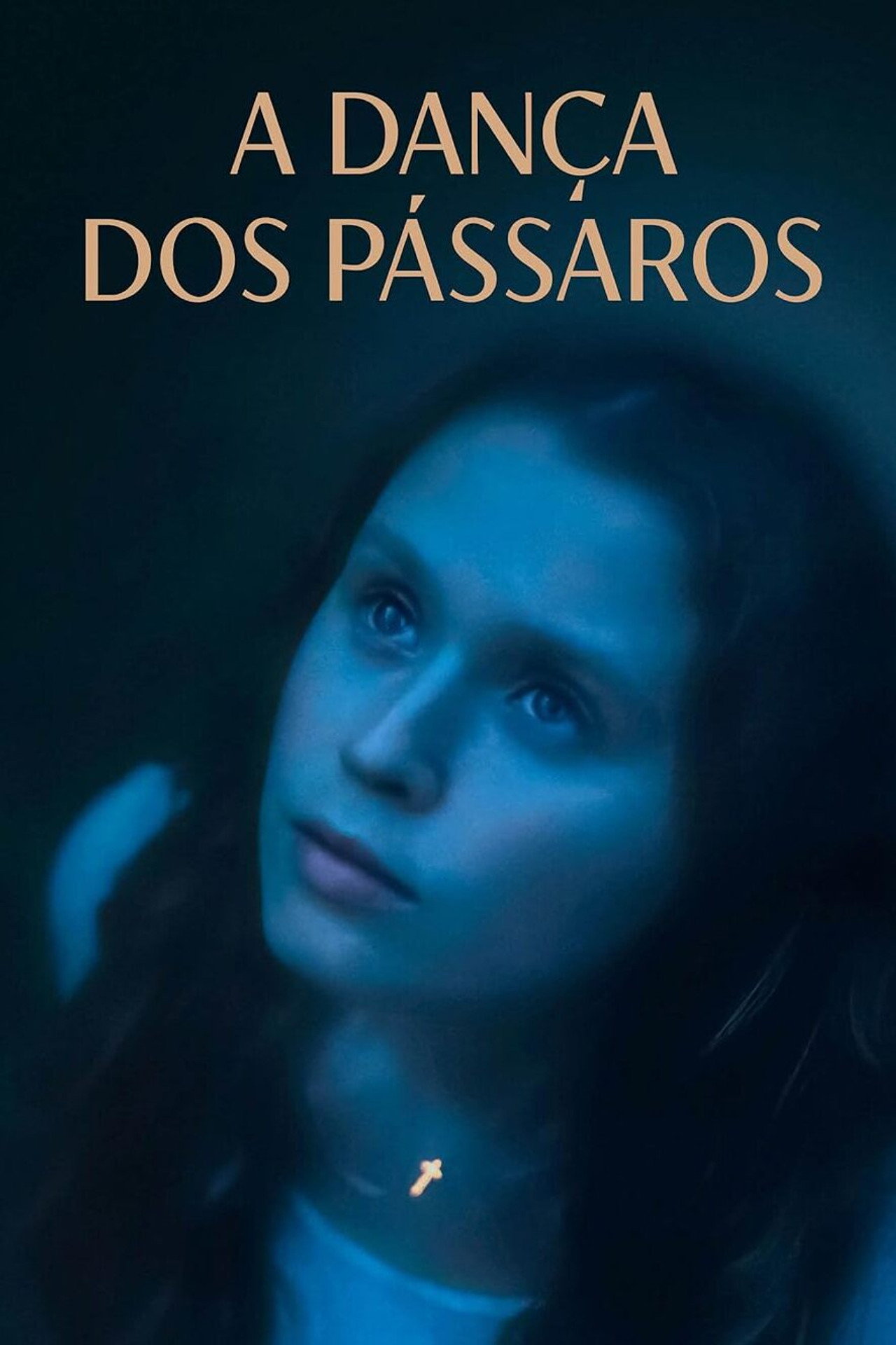 Pôster de A Dança dos Pássaros