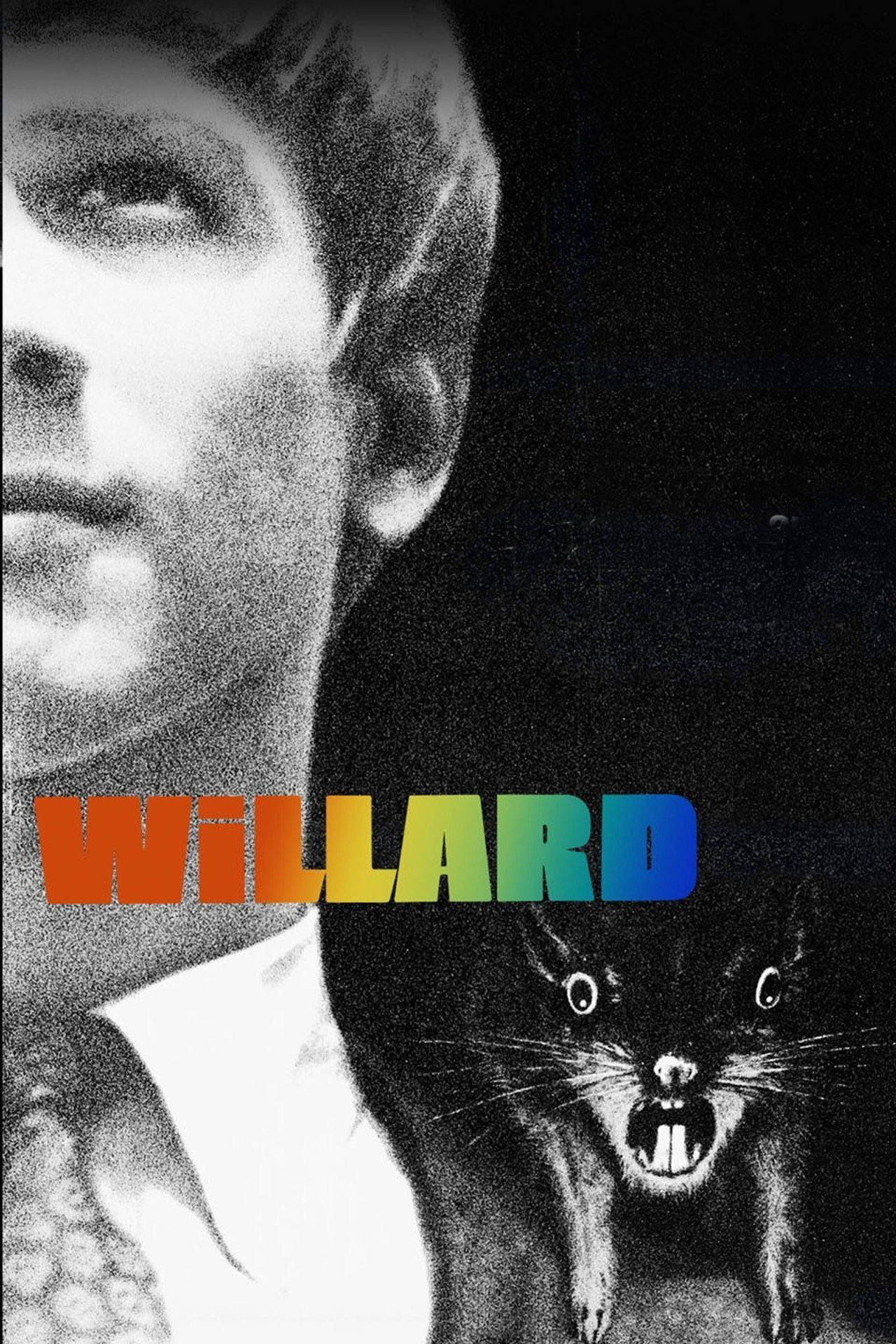 Pôster de Willard