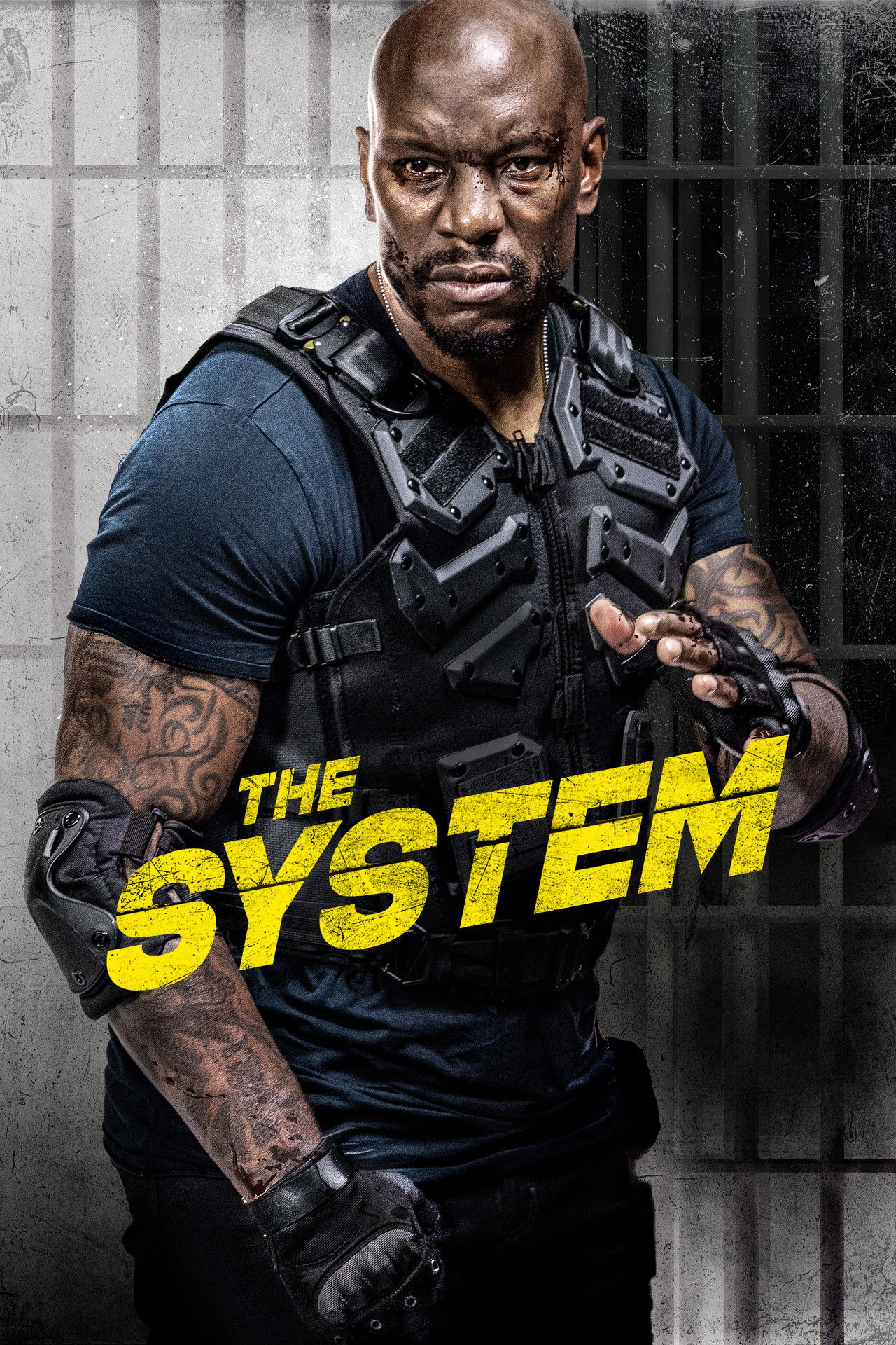 Pôster de The System