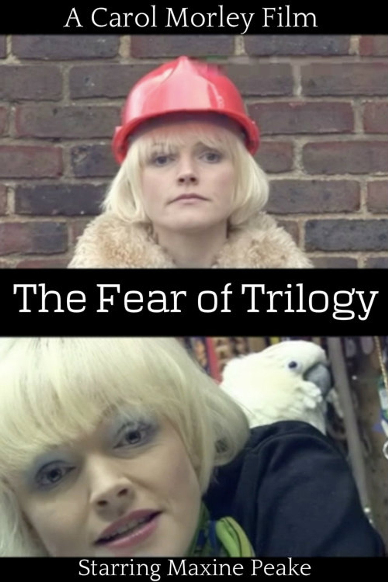 Pôster de The Fear of Trilogy